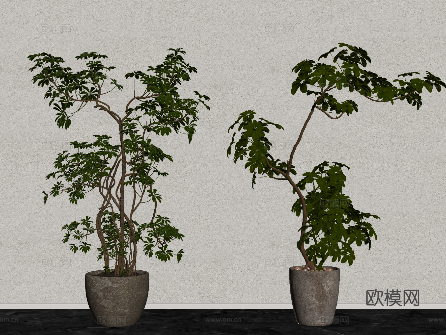 家居绿植 盆栽 盆景su模型