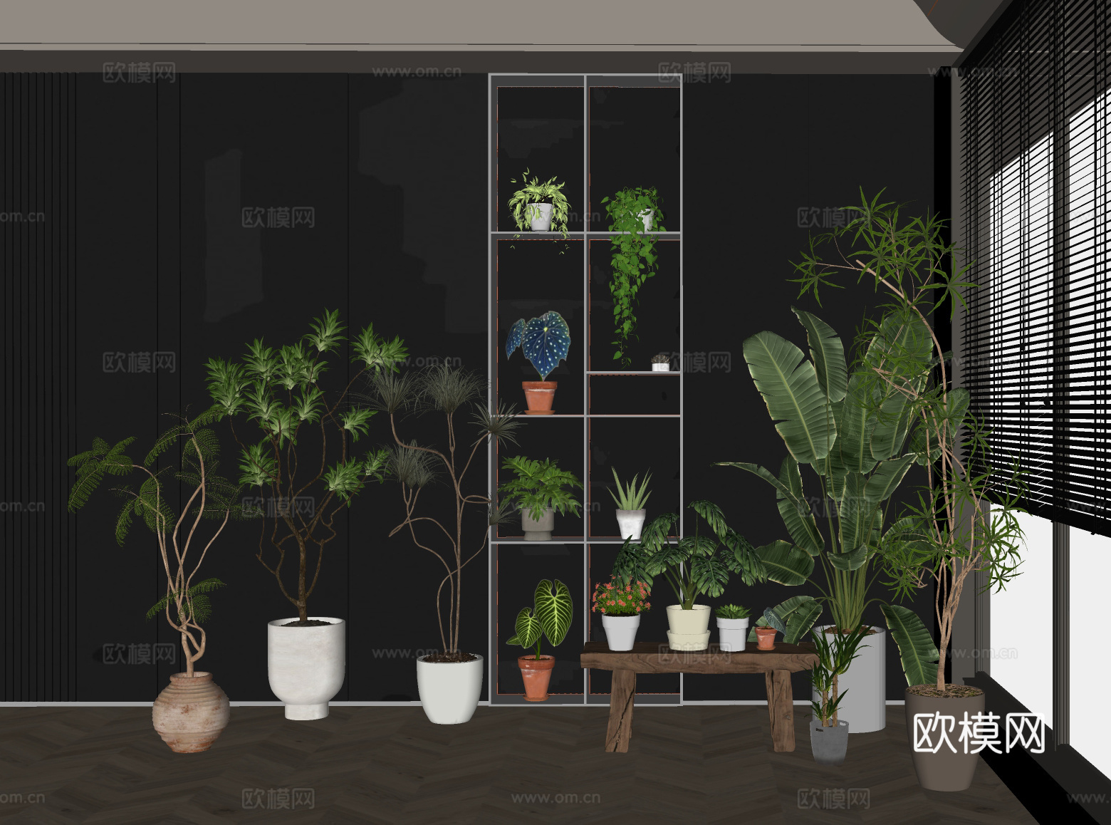 绿植 盆栽 小绿植 植物 绿萝 天堂鸟su模型