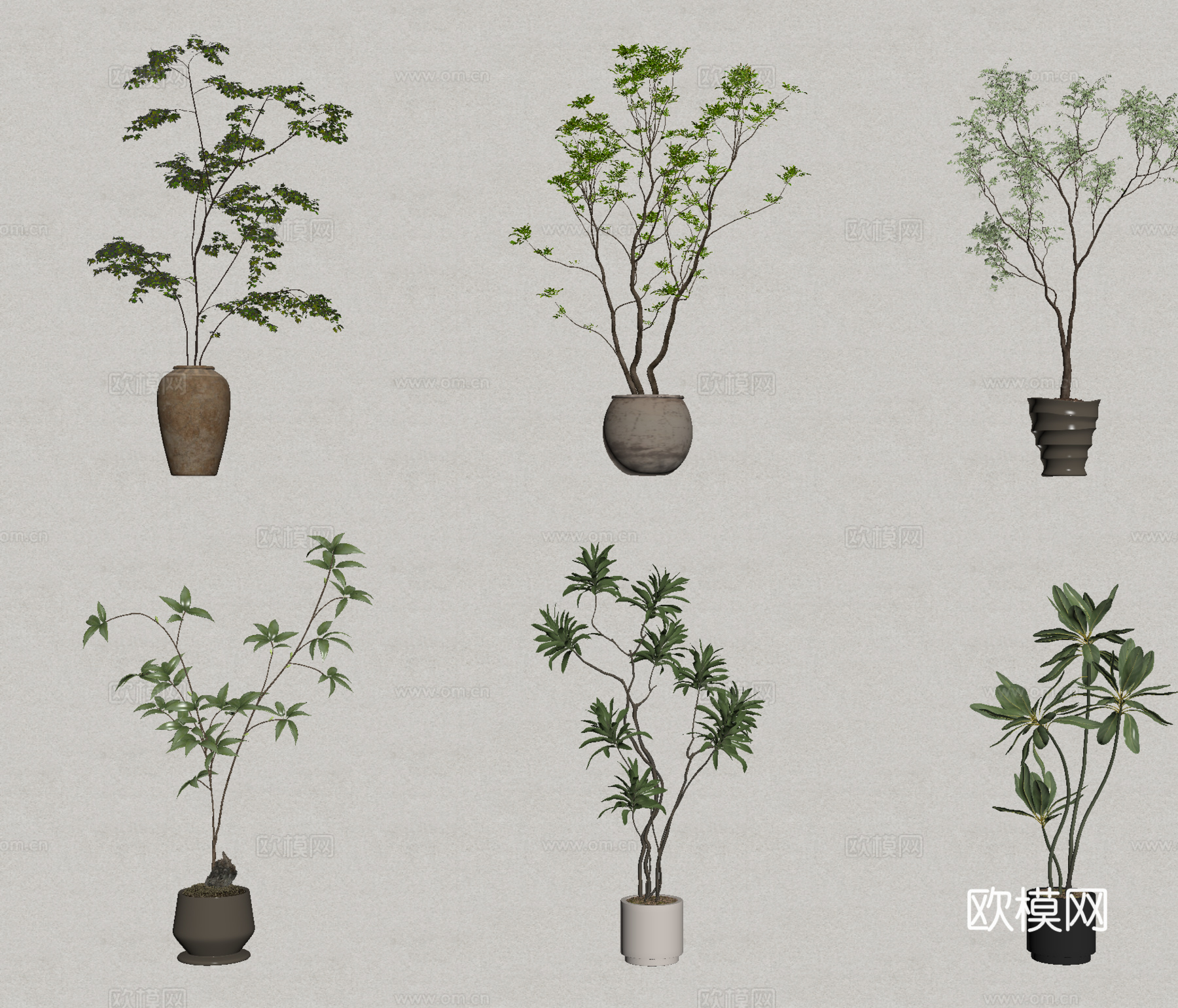 家居绿植盆栽  盆栽盆景su模型su模型
