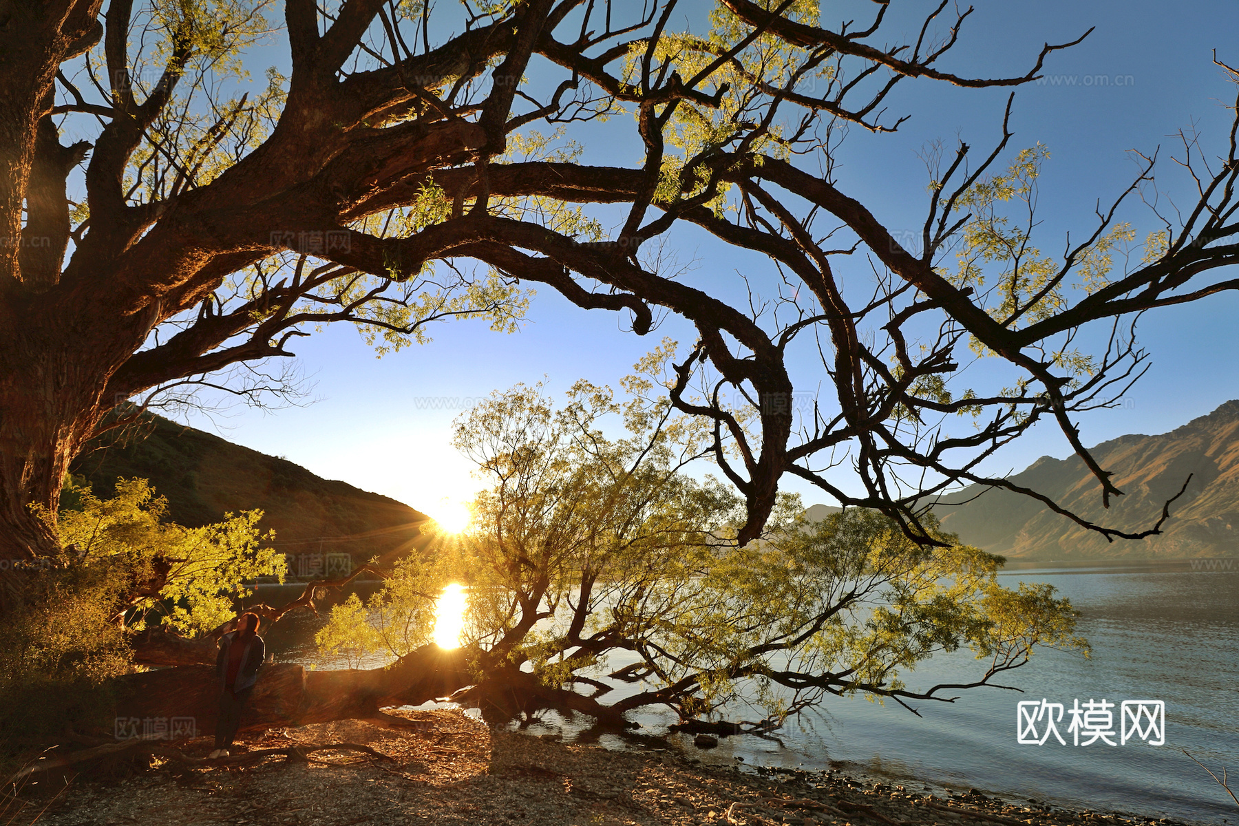 小区外景 环境 城市 都市外景 自然风景下载