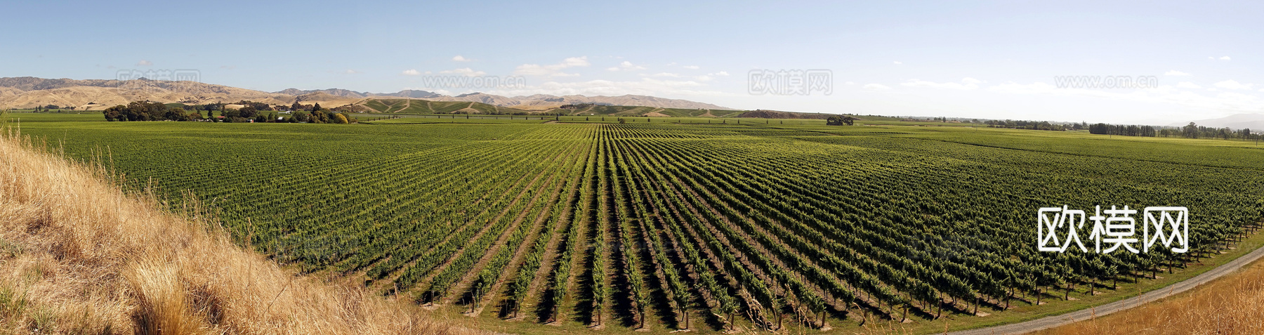 小区外景 环境 城市 都市外景 自然风景下载