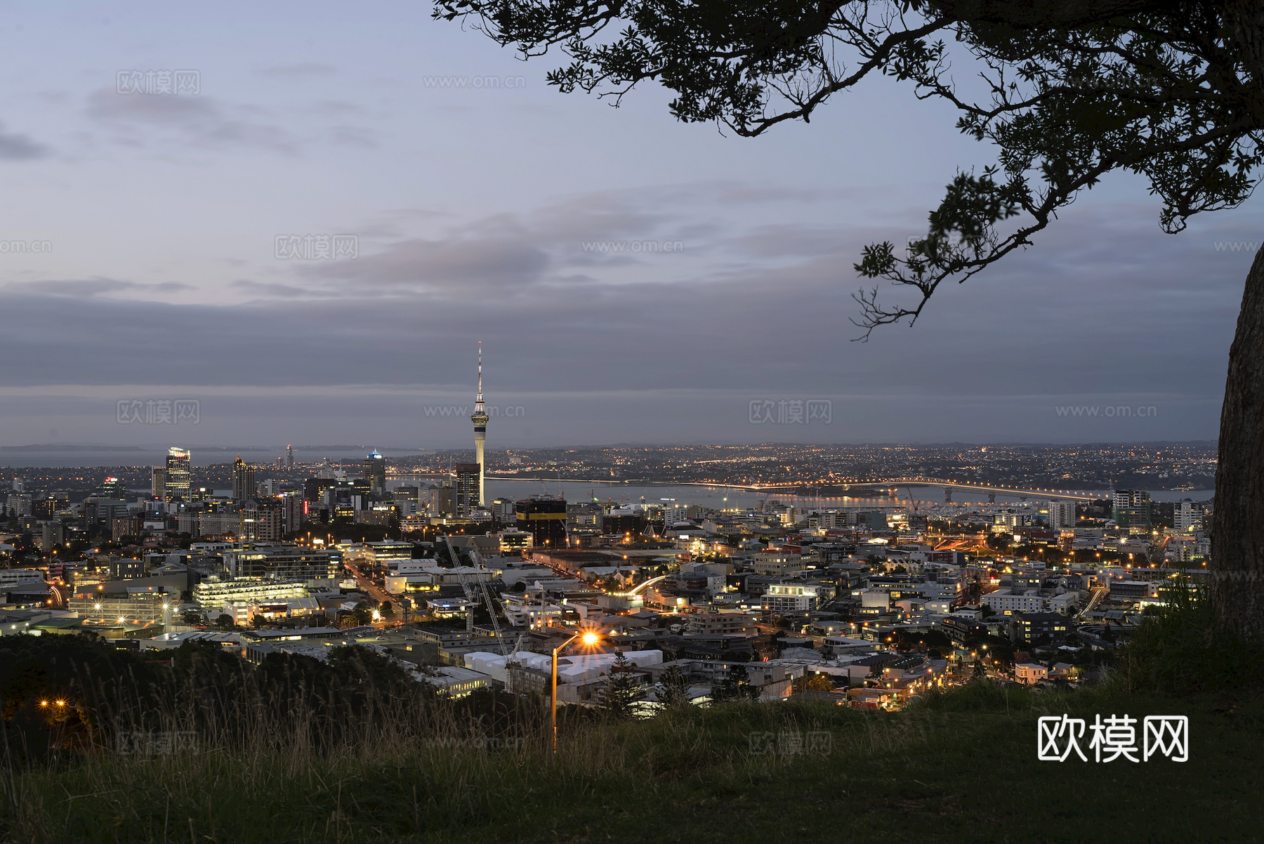 小区外景 环境 城市 都市外景 自然风景