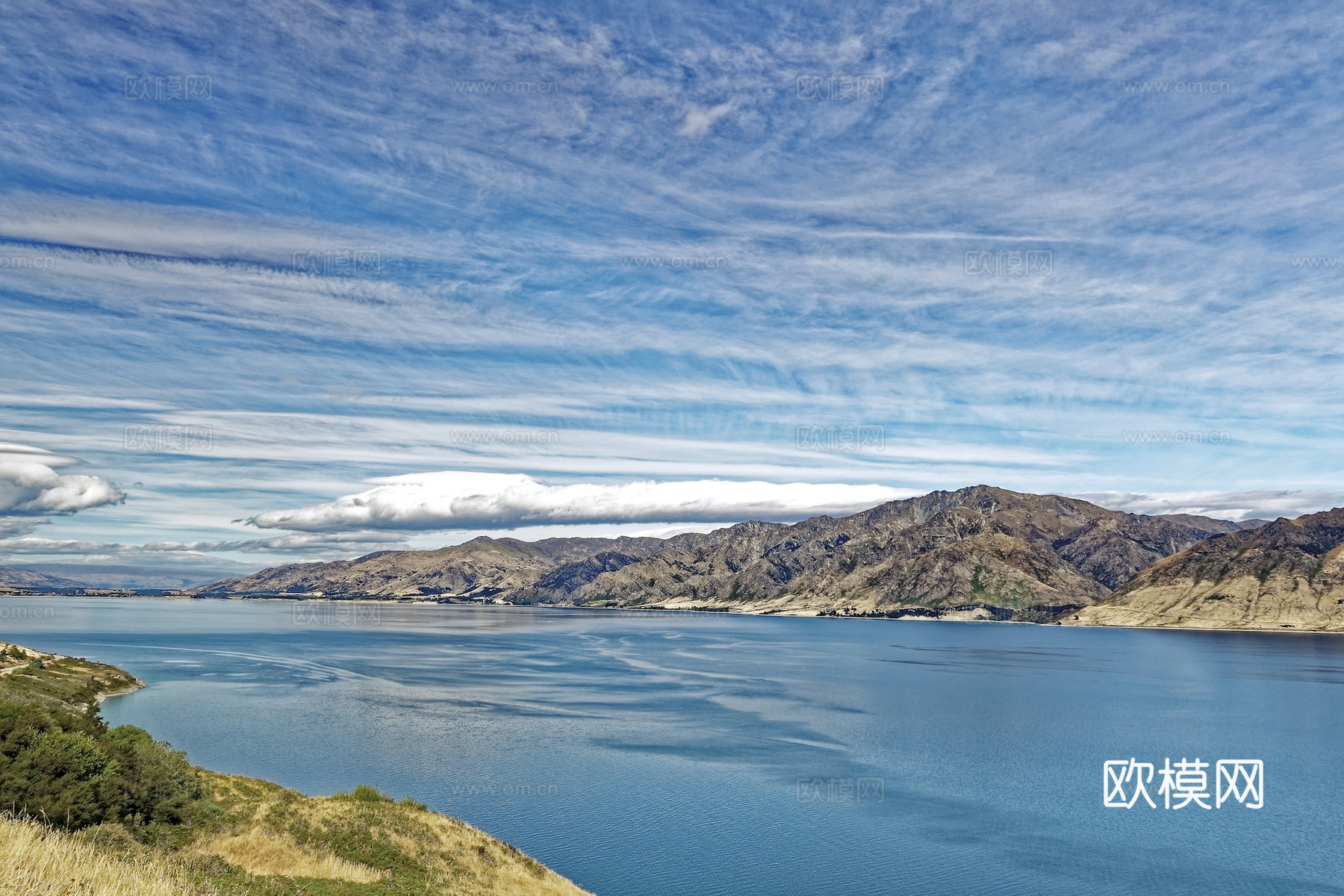 小区外景 环境 城市 都市外景 自然风景
