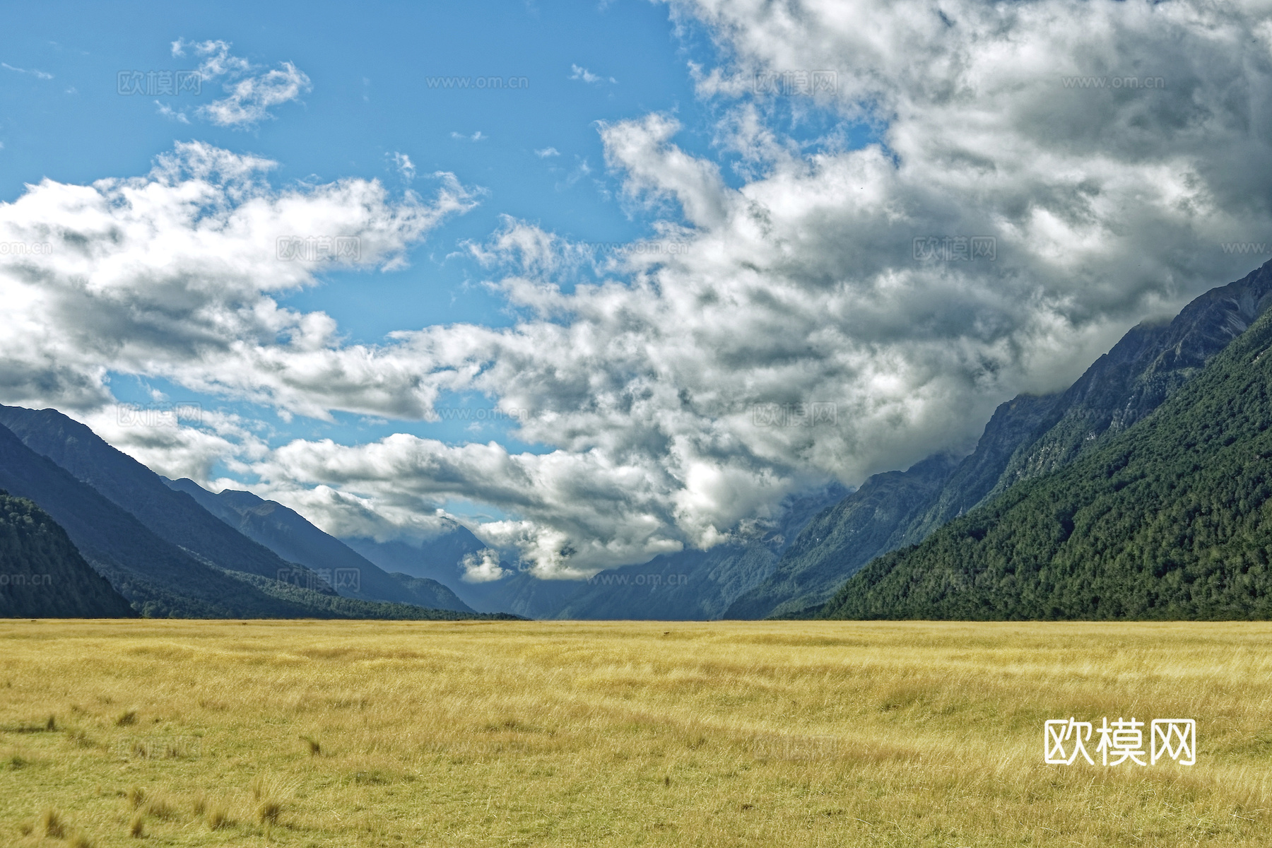小区外景 环境 城市 都市外景 自然风景下载