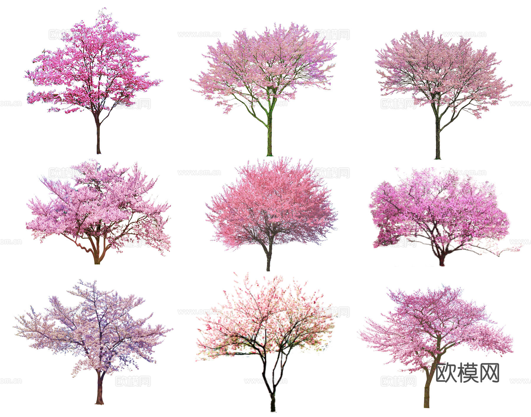 现代樱花树 桃树 色叶树 红梅花 腊梅 碧桃 造型树 杏花树su模型