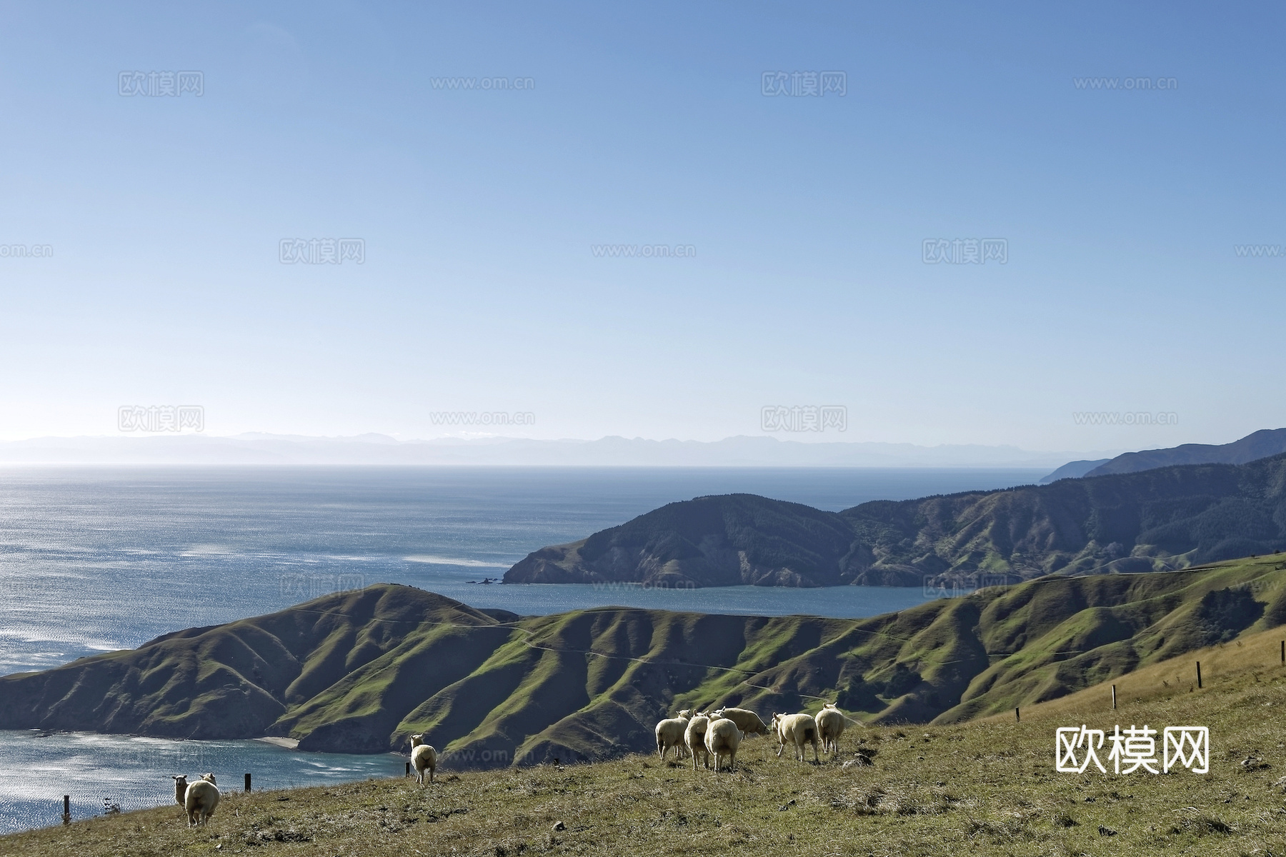 小区外景 环境 城市 都市外景 自然风景下载