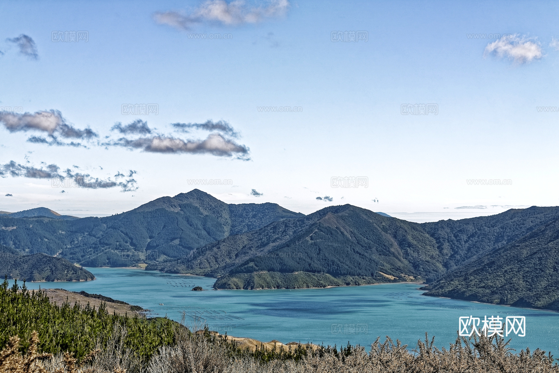 小区外景 环境 城市 都市外景 自然风景