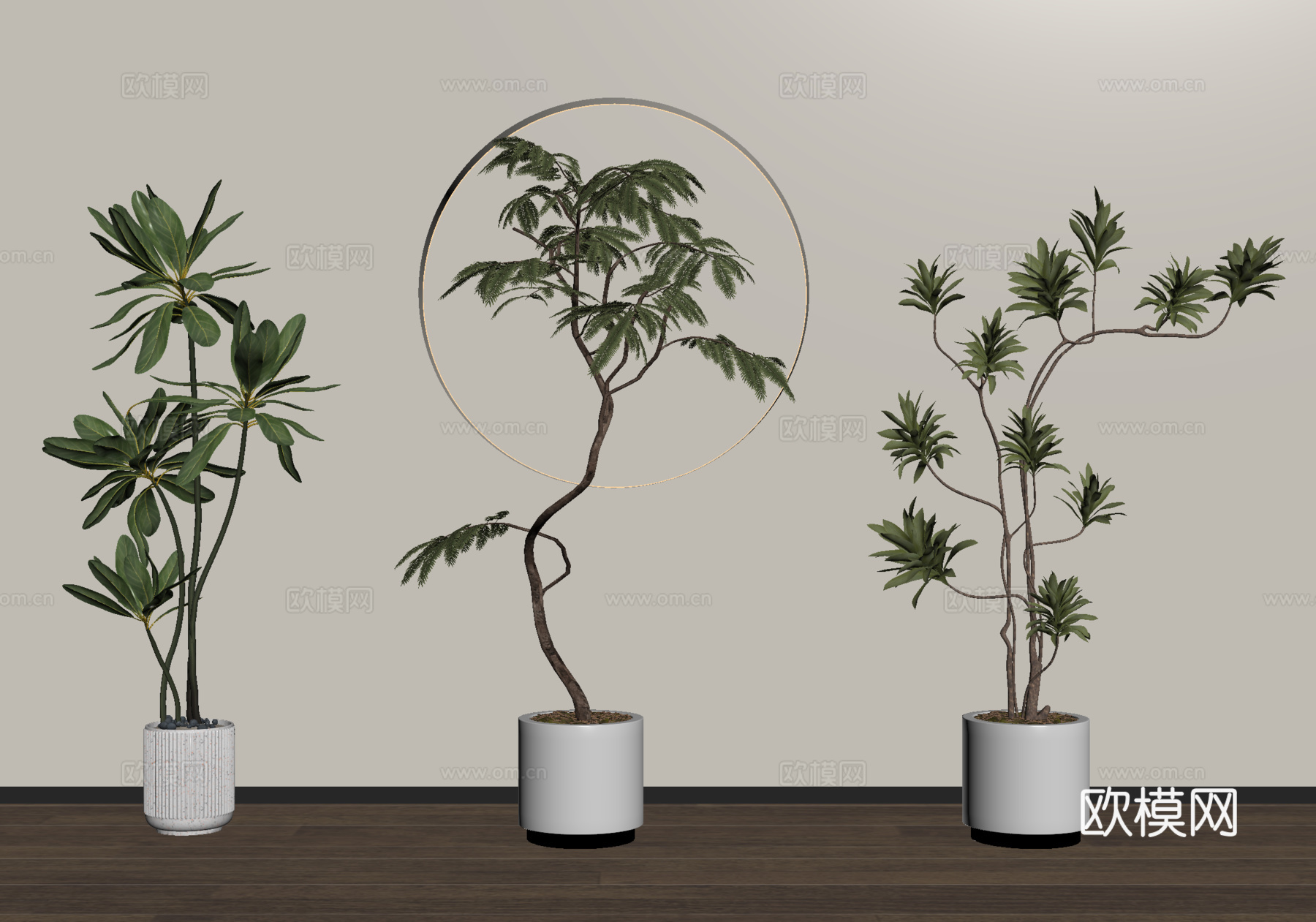 家居植物盆栽 绿植盆景su模型