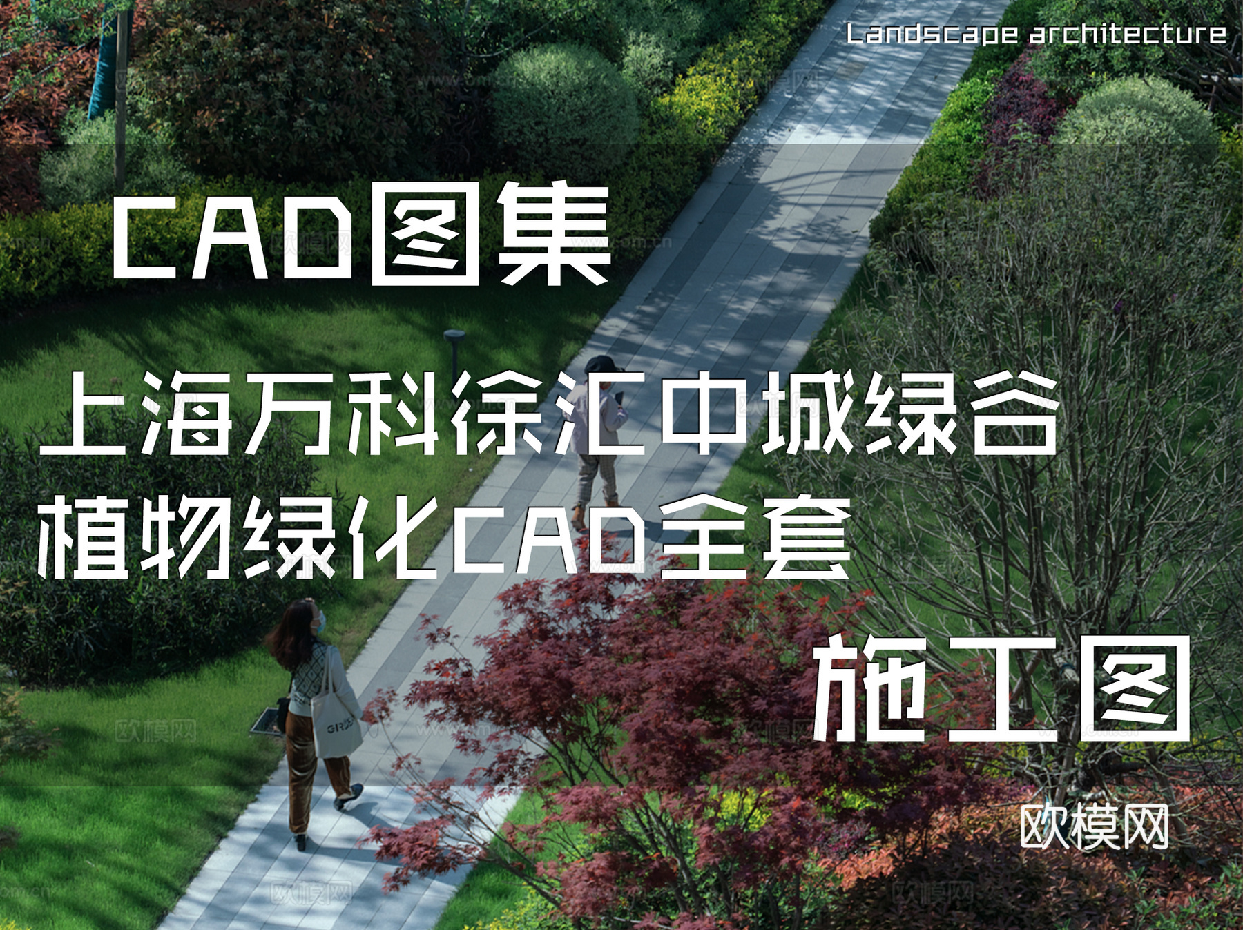 上海万科徐汇中城绿谷植物绿化CAD施工图全套cad施工图