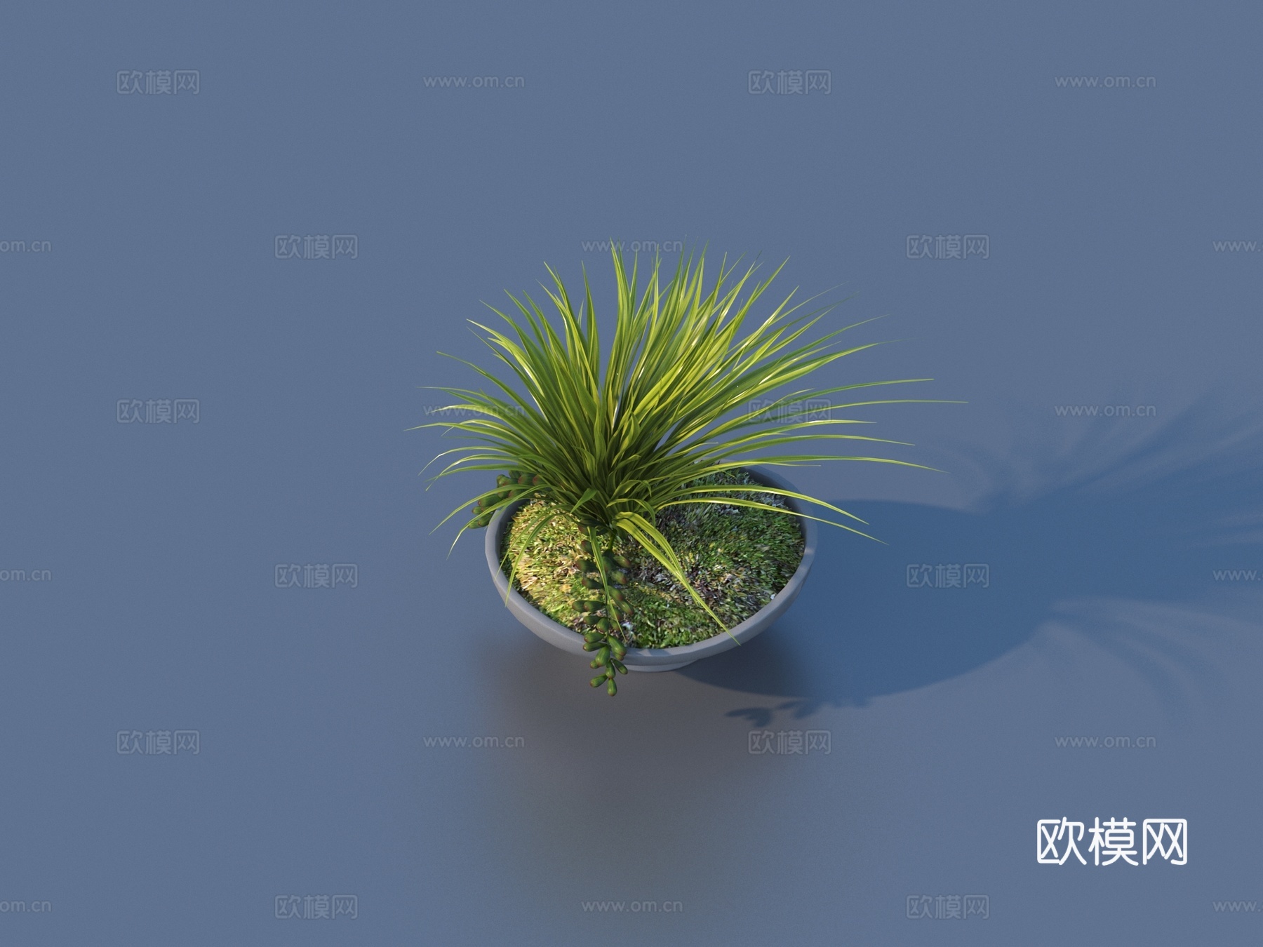 花盆 盆栽 绿植 植物3d模型下载