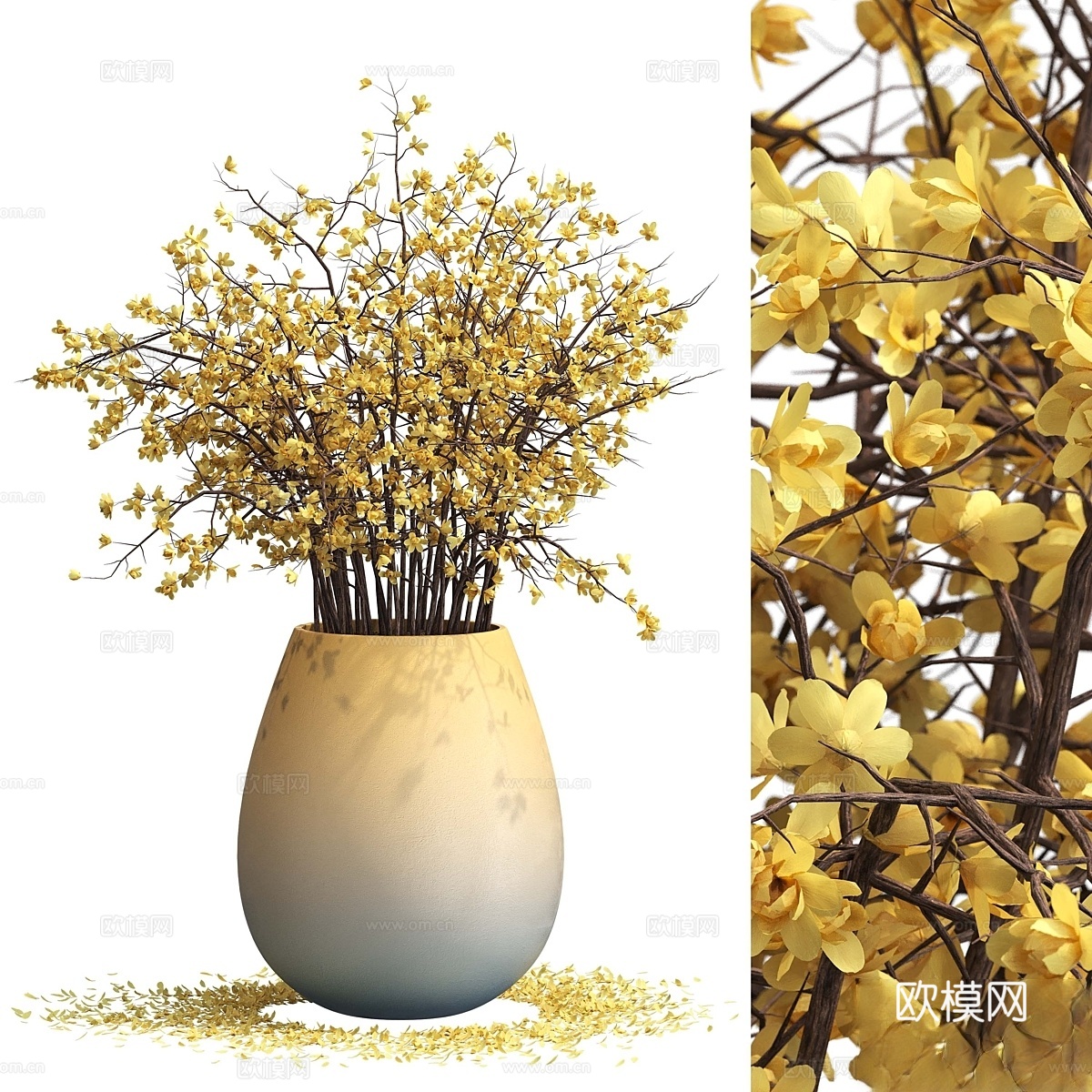 室内植物0513d模型下载