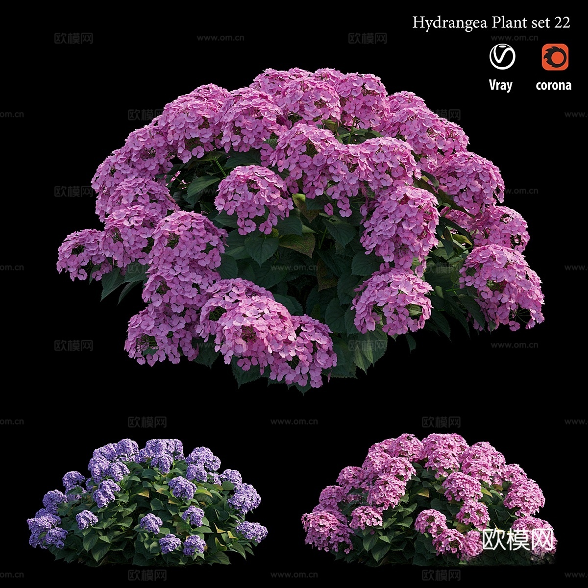 绣球花盆栽套装223d模型下载