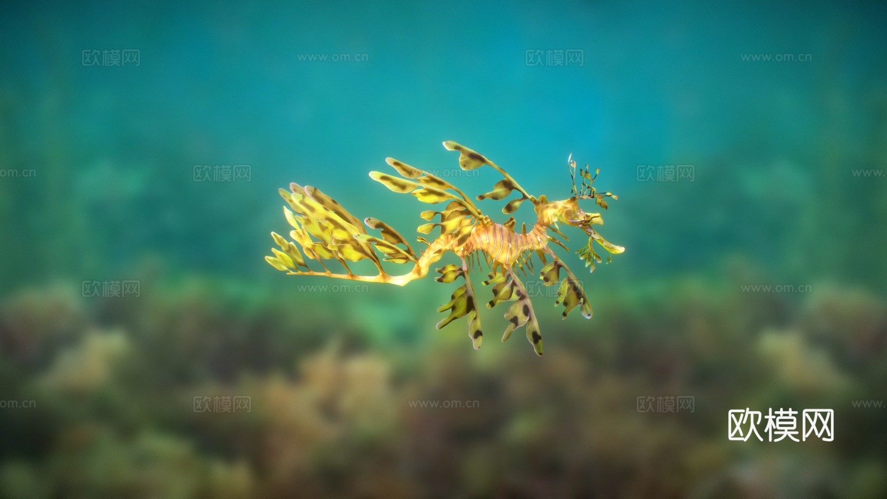 用Smoothie-3D制作的叶海龙su模型