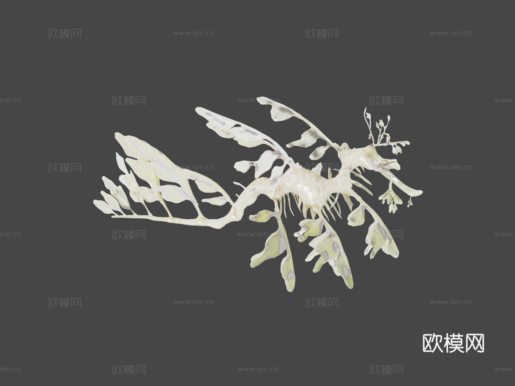 用Smoothie-3D制作的叶海龙su模型