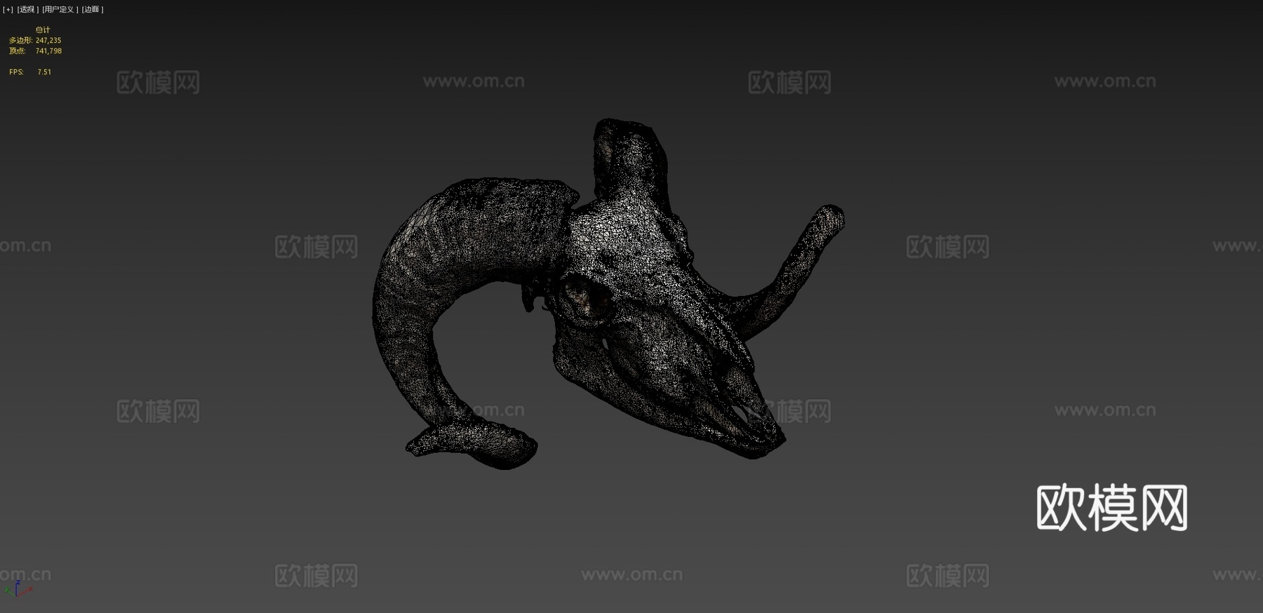 欧洲盘羊头骨su模型