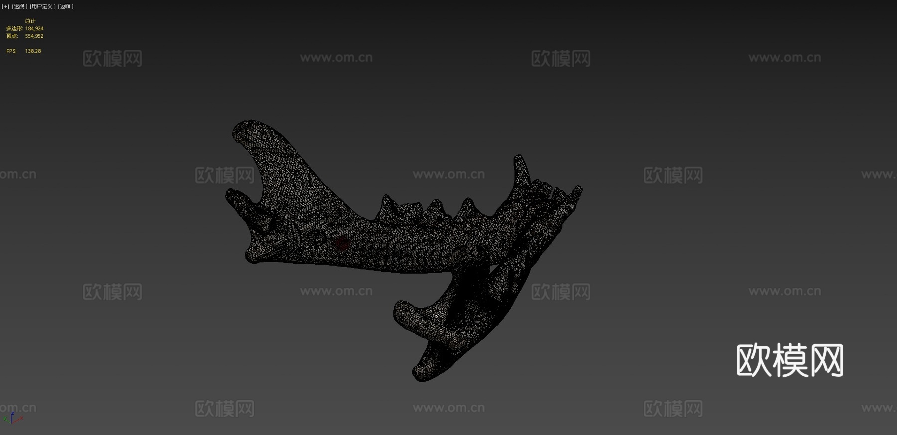 家猫颌骨su模型