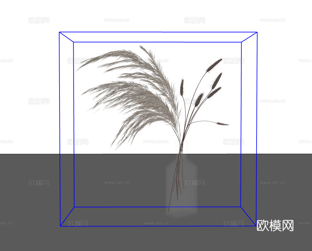 玻璃植物su模型