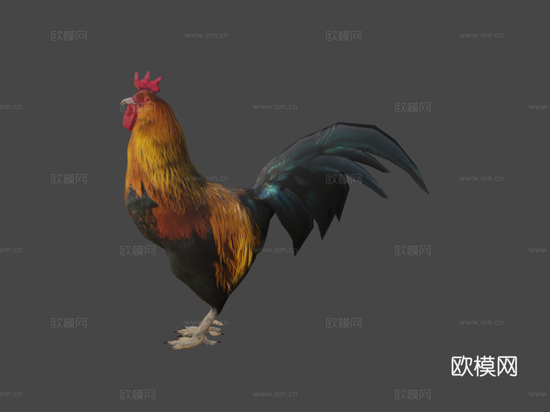 公鸡su模型