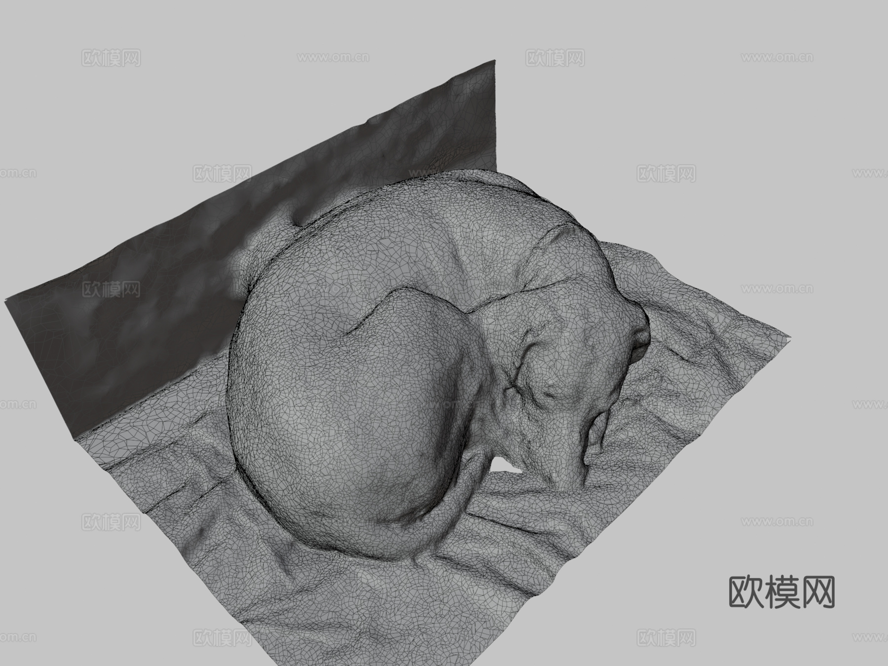 狗-3D扫描测试su模型
