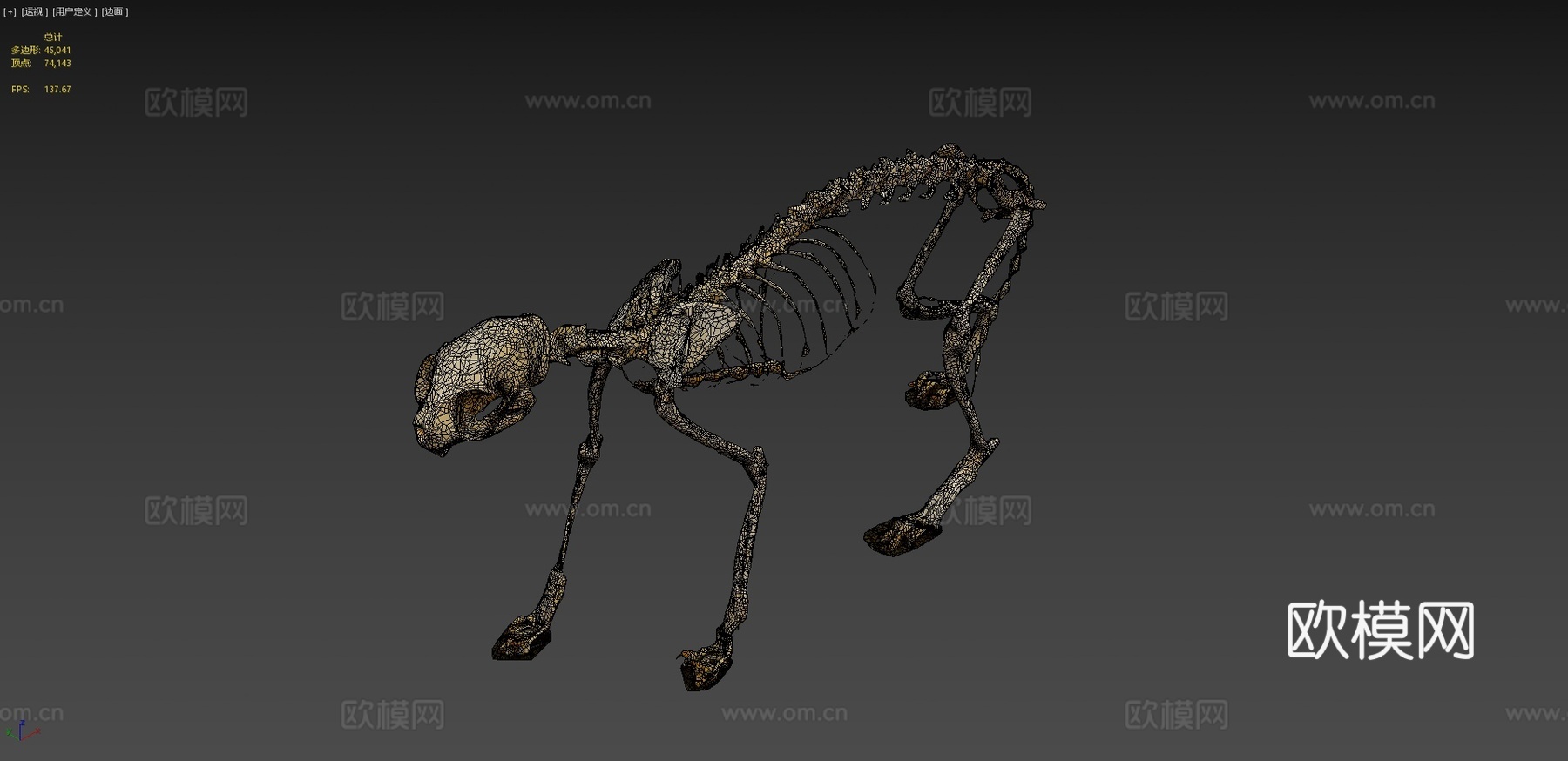猫骨架su模型