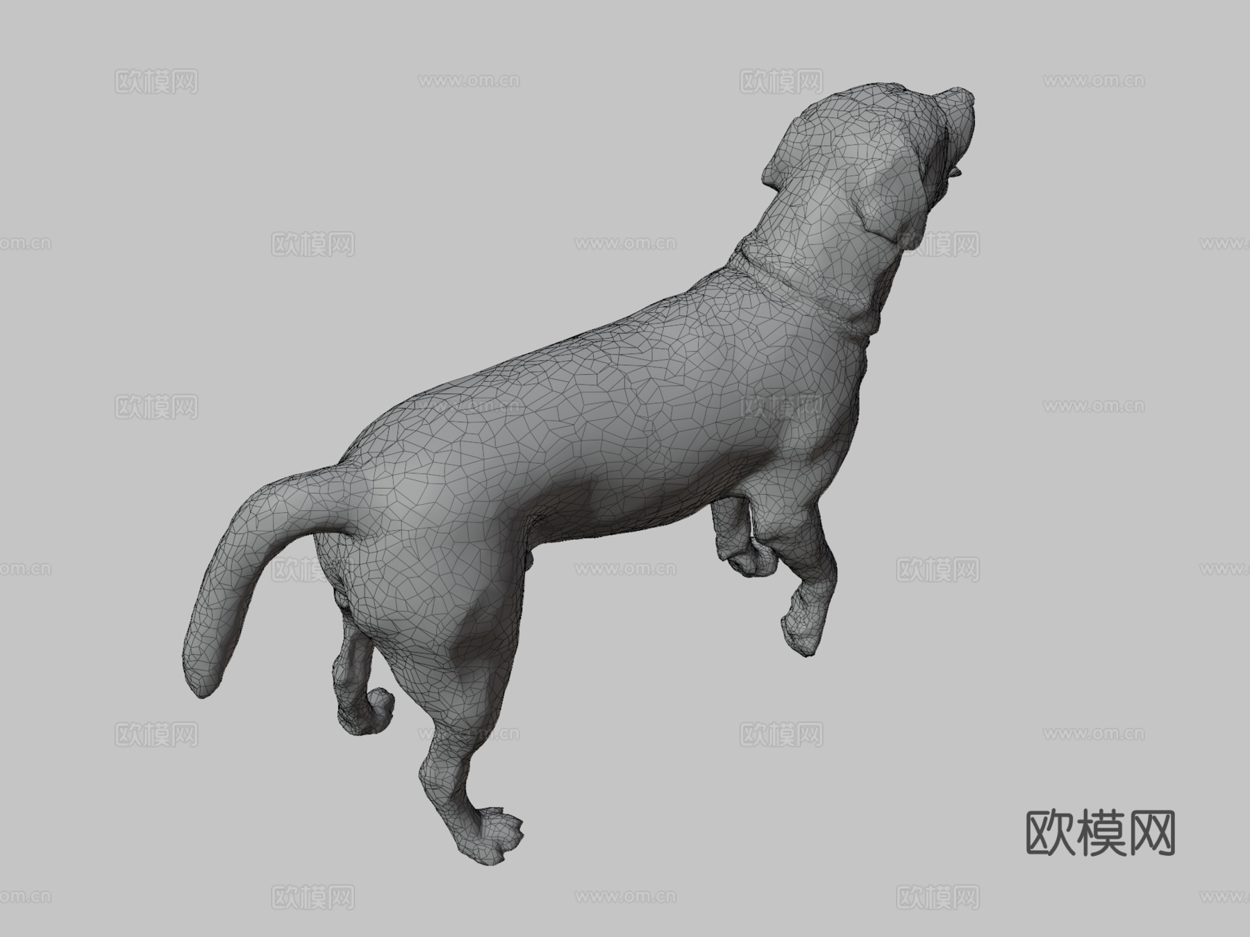 狗A-6之4-拉布拉多su模型