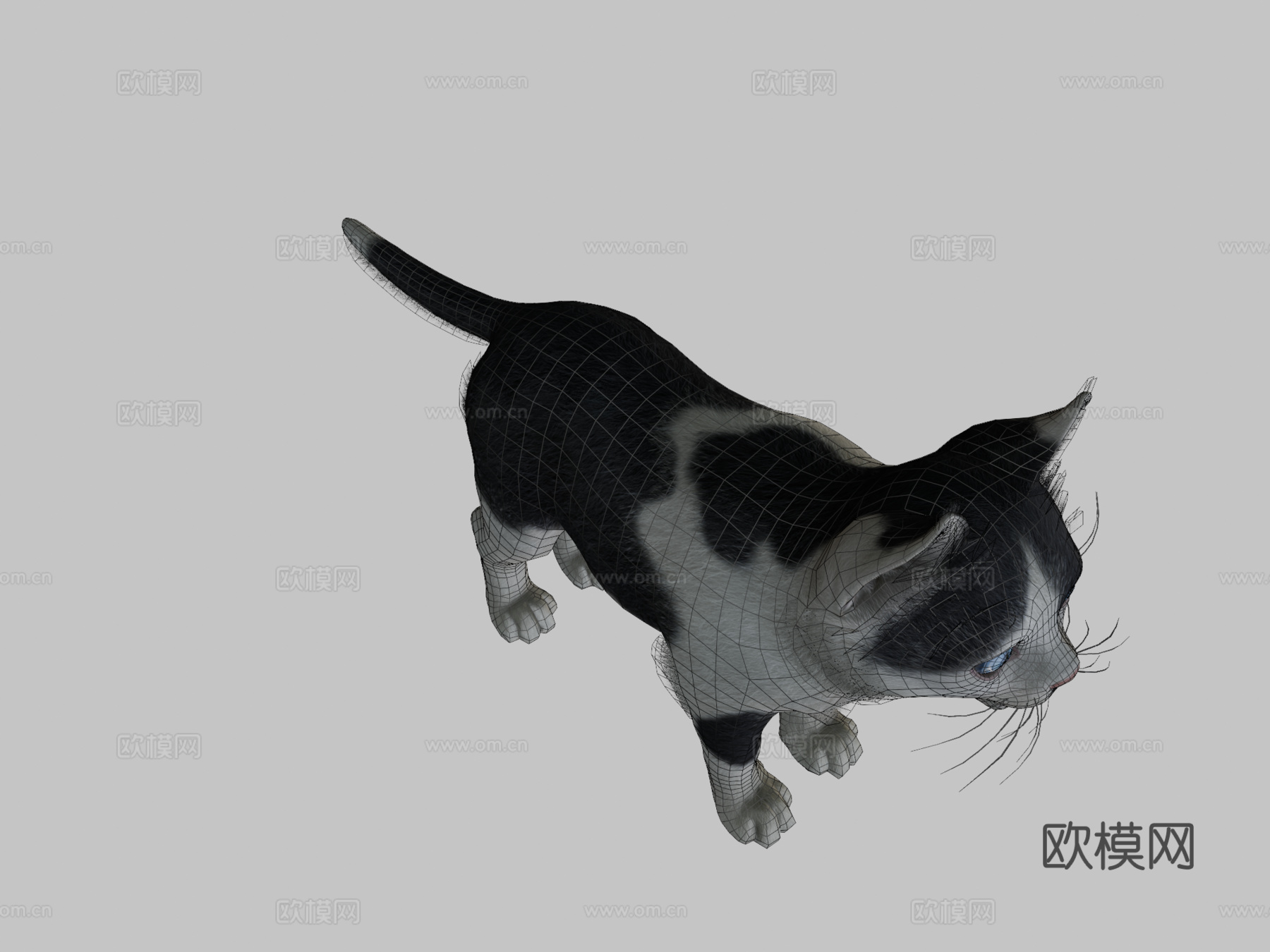 小猫-简单su模型