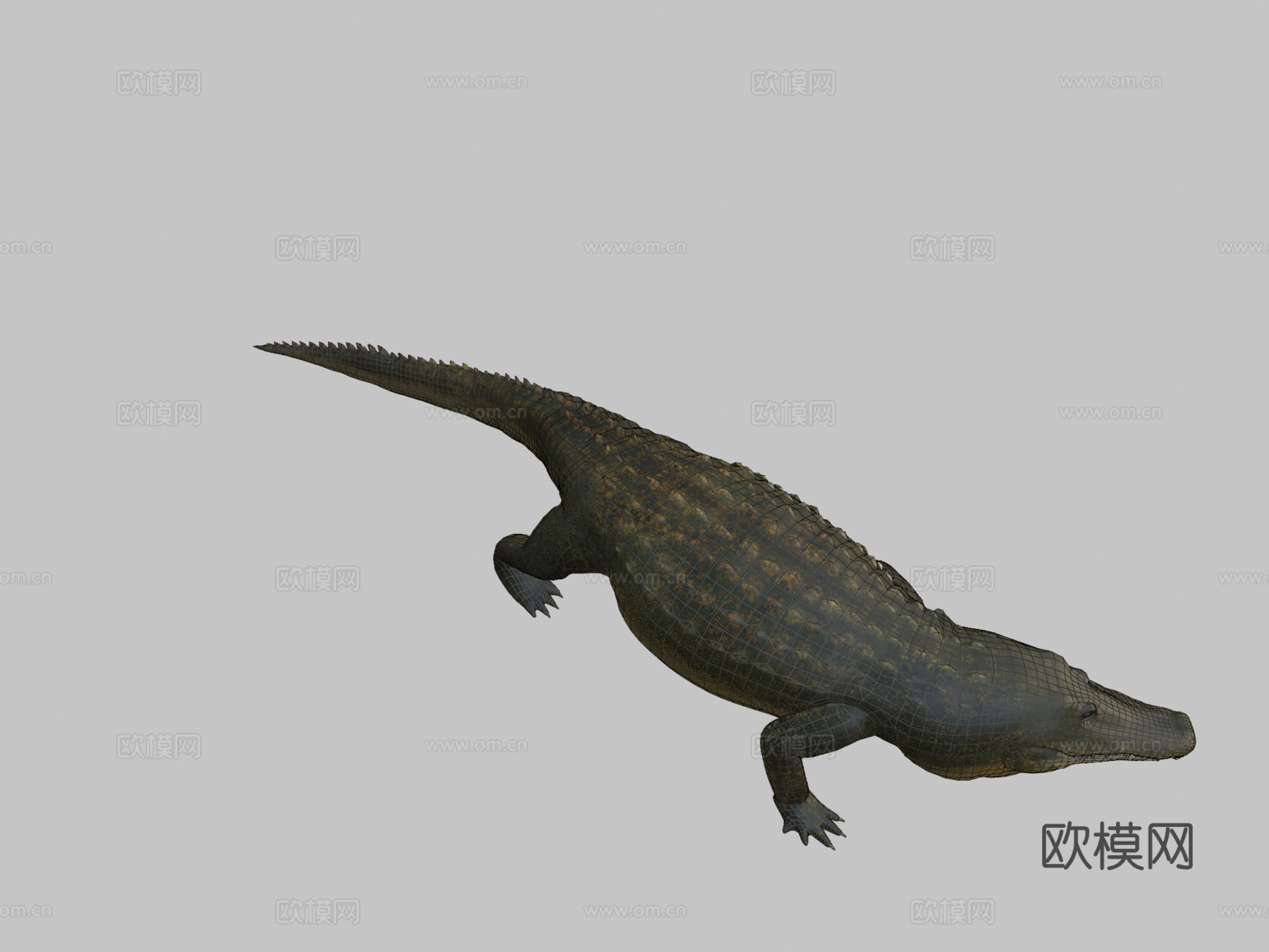 短吻鳄su模型