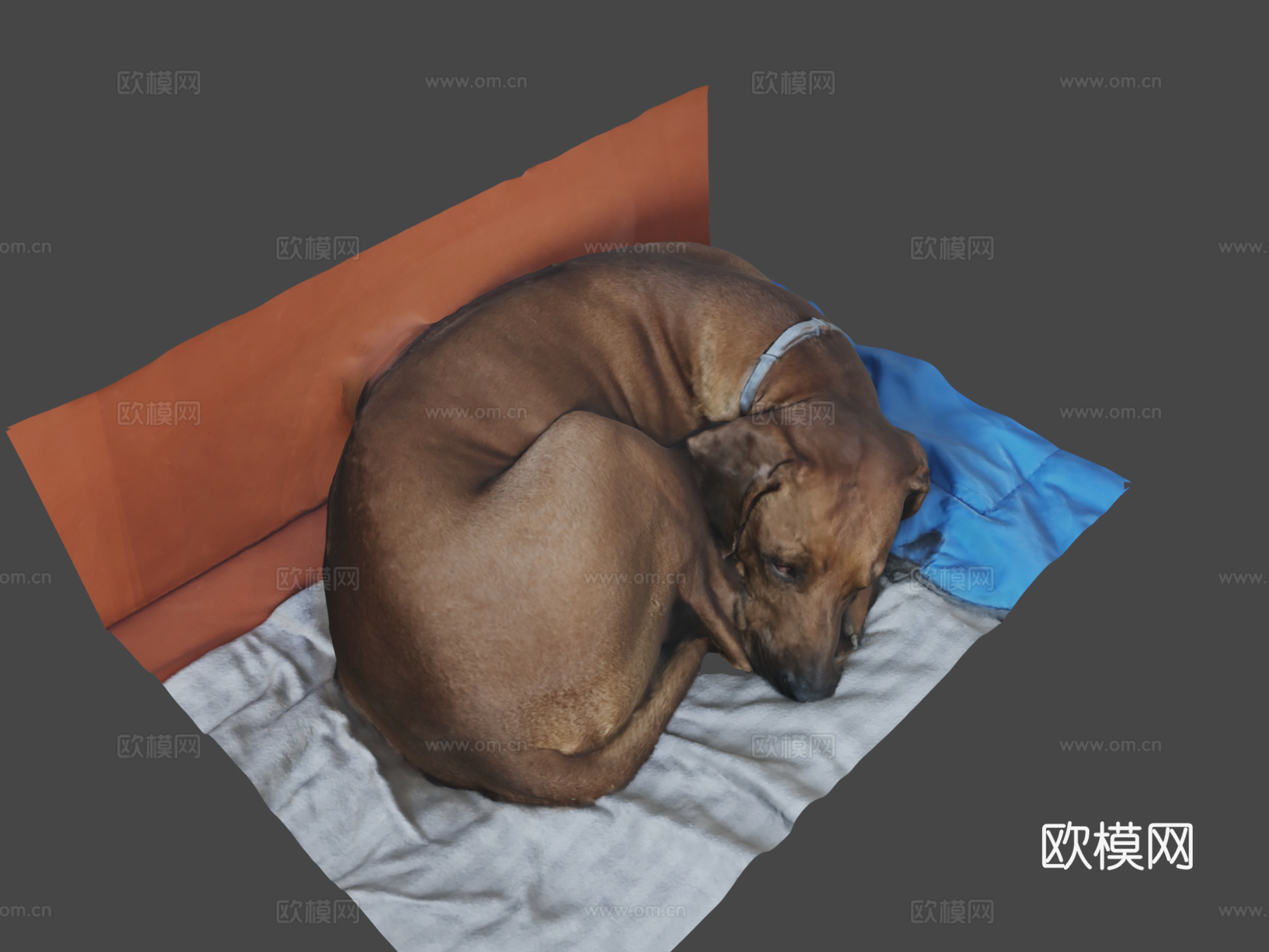 狗-3D扫描测试su模型