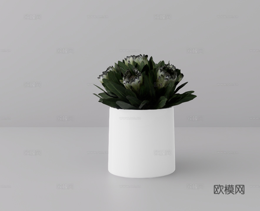 花卉摆件su模型