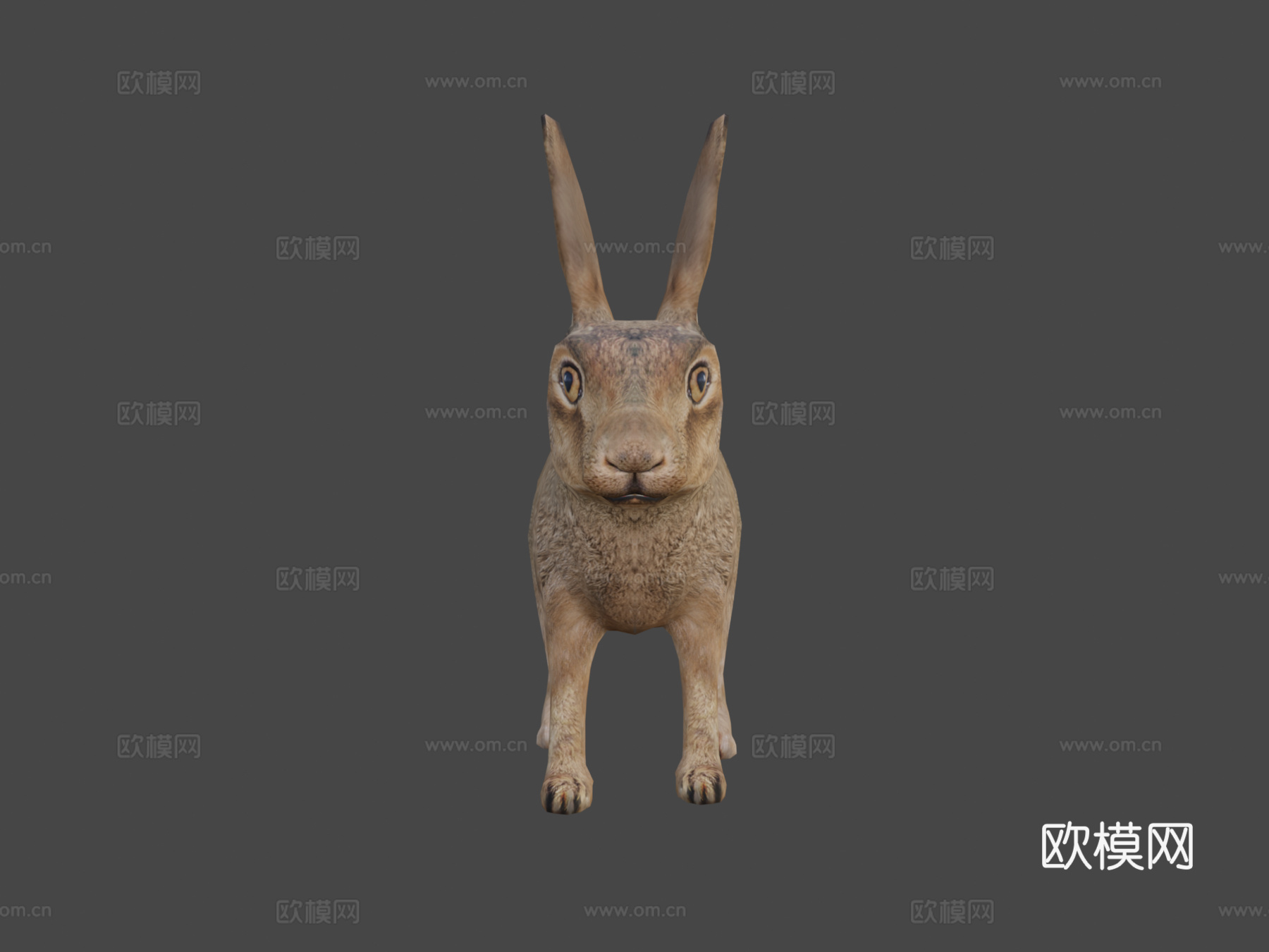 野兔su模型下载（渲染图6）