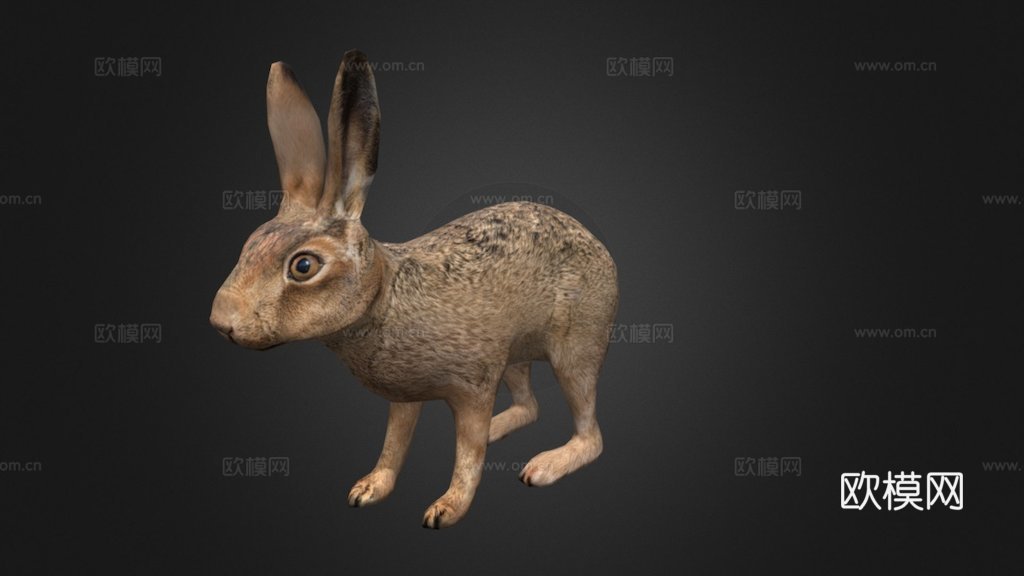 野兔su模型下载（渲染图1）
