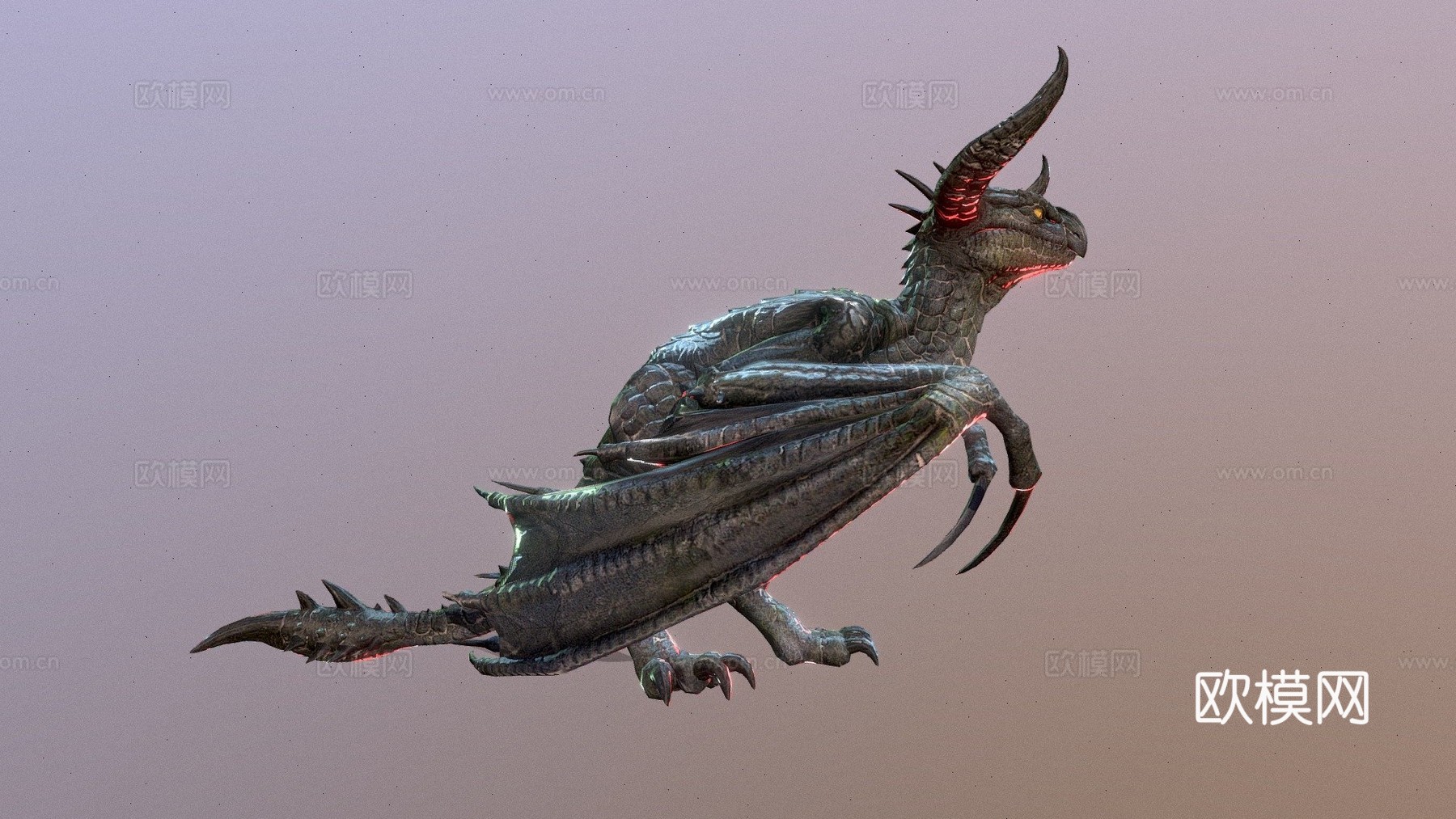 动画龙(青雉)_1su模型
