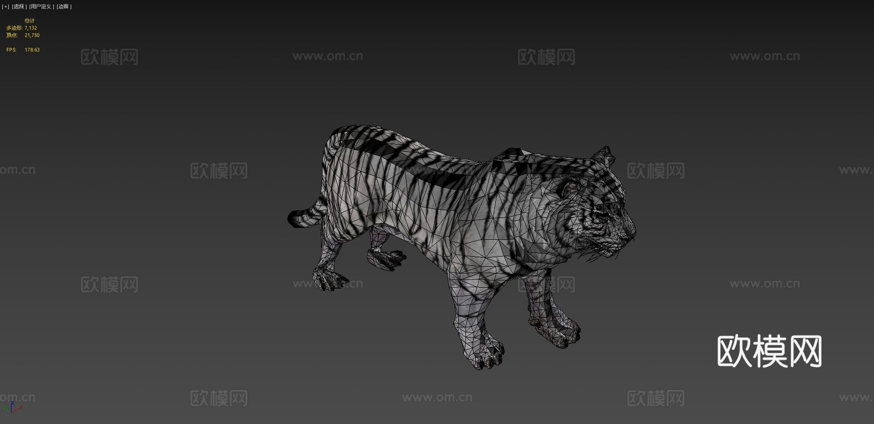 白虎su模型