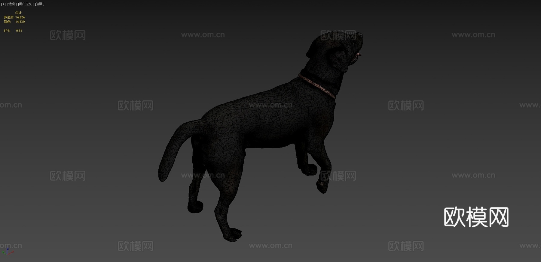 狗A-6之4-拉布拉多su模型