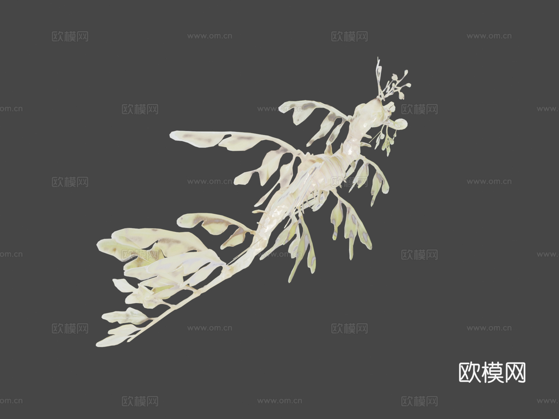 用Smoothie-3D制作的叶海龙su模型