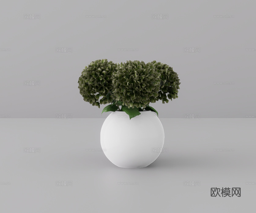 植物摆件su模型