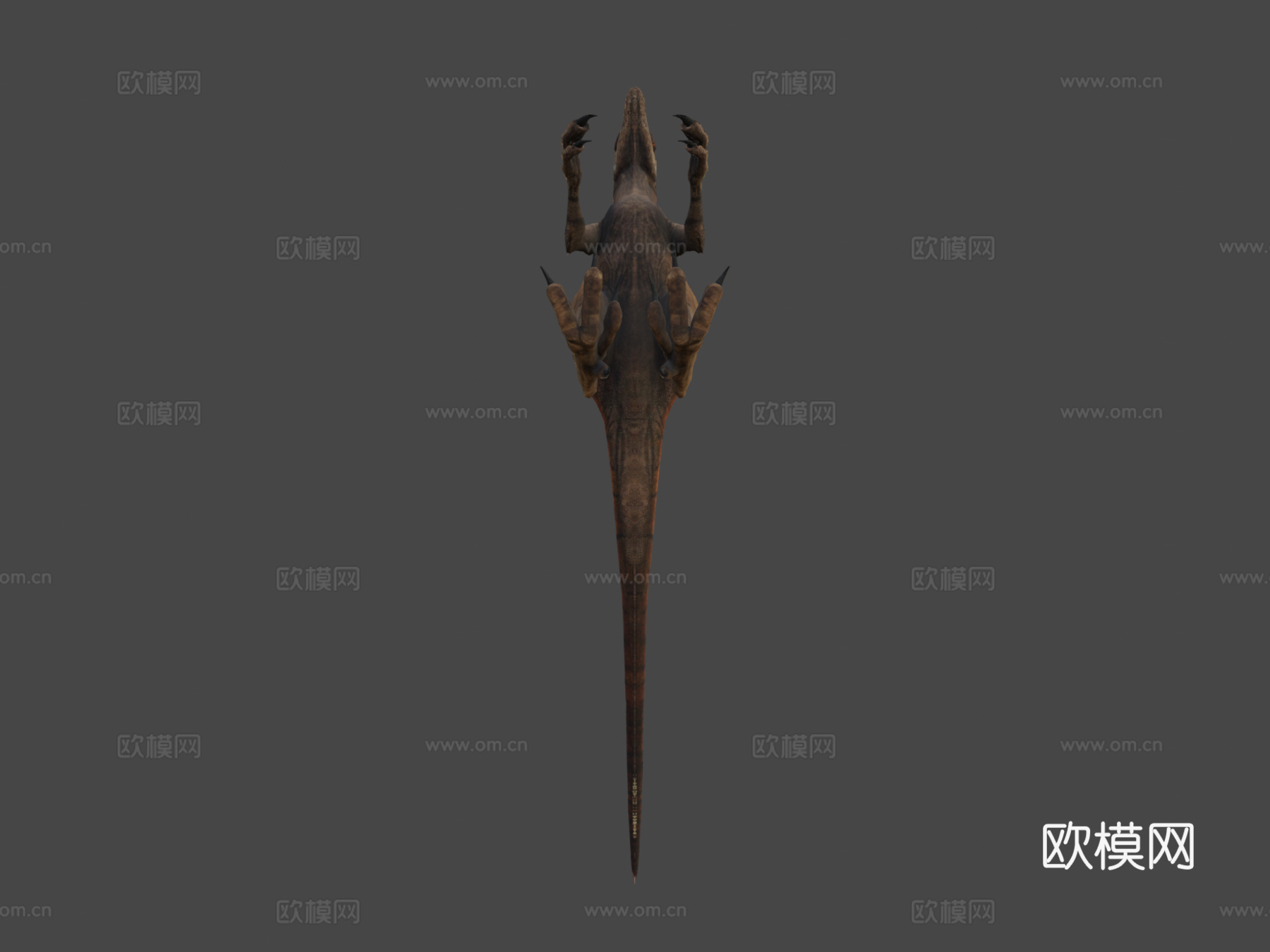 阿罗西盗龙虎su模型