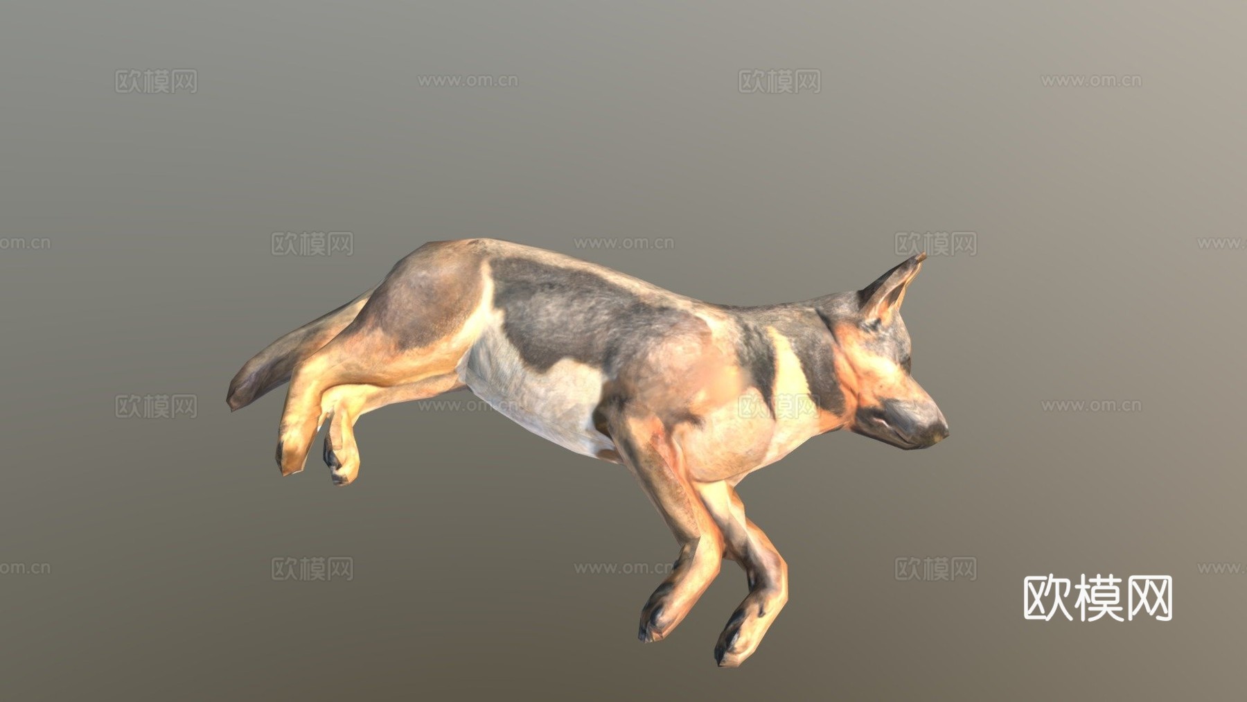 德国牧羊犬su模型