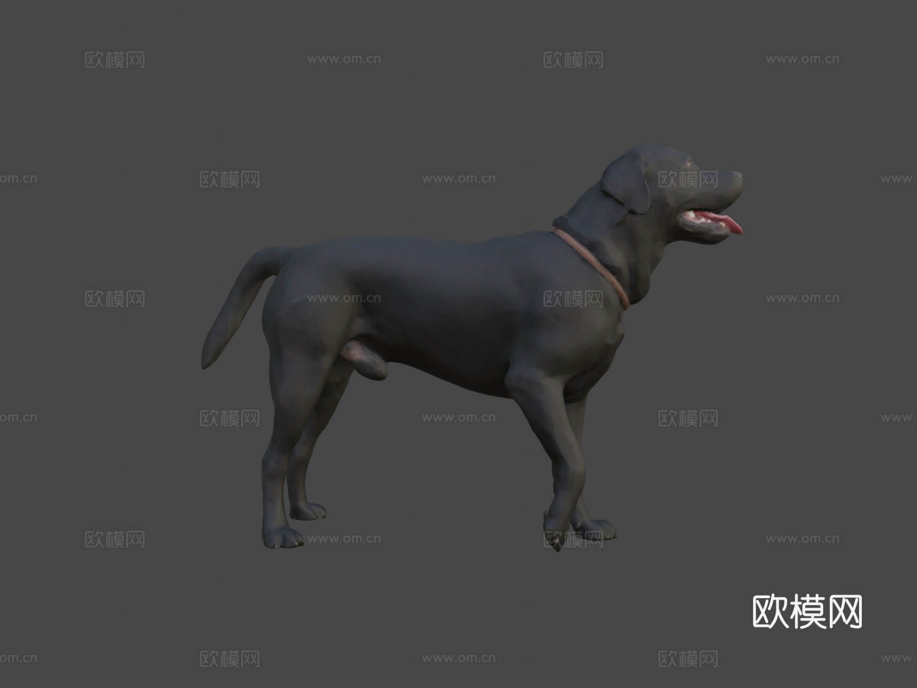狗A-6之4-拉布拉多su模型