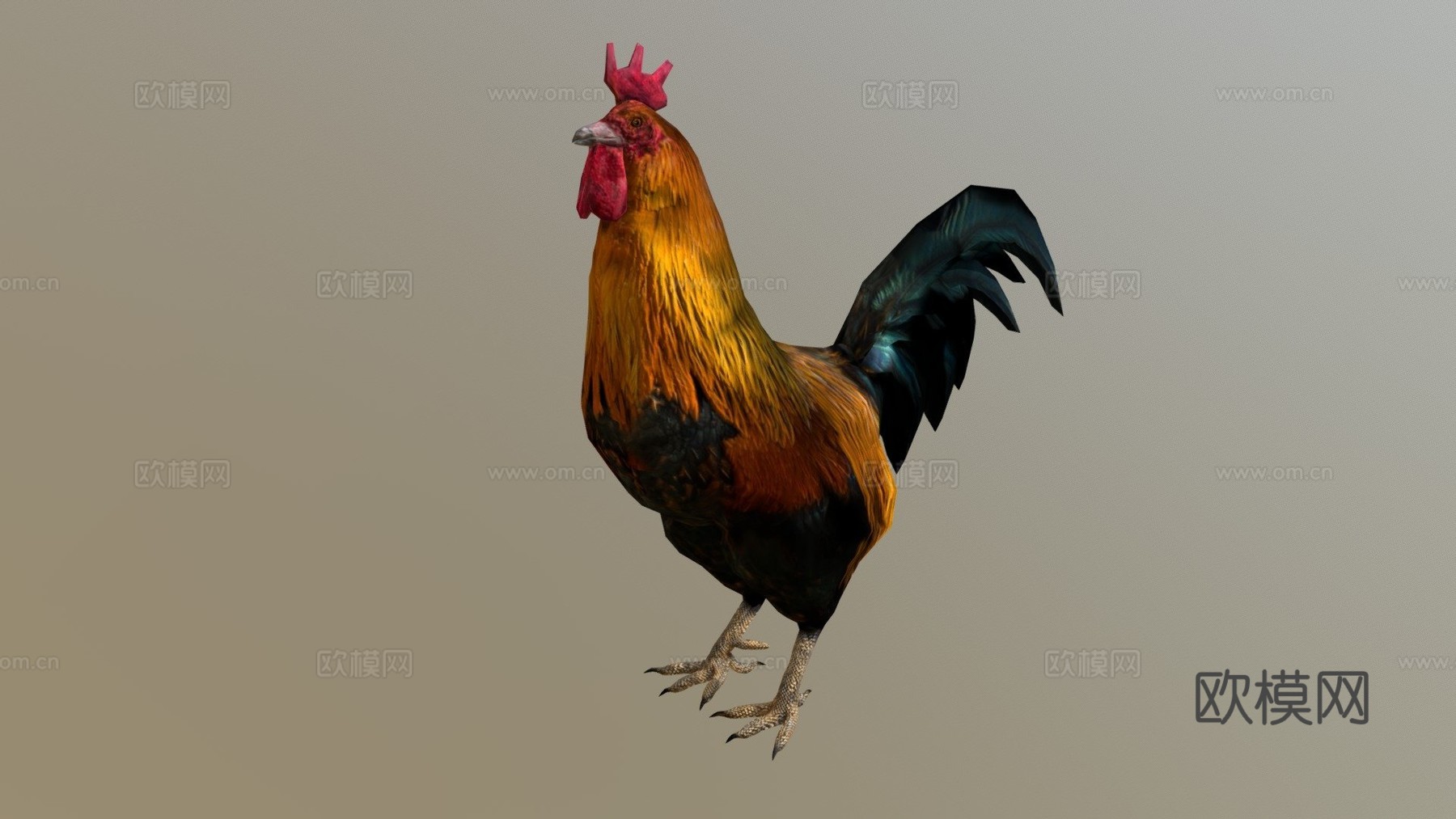 公鸡su模型