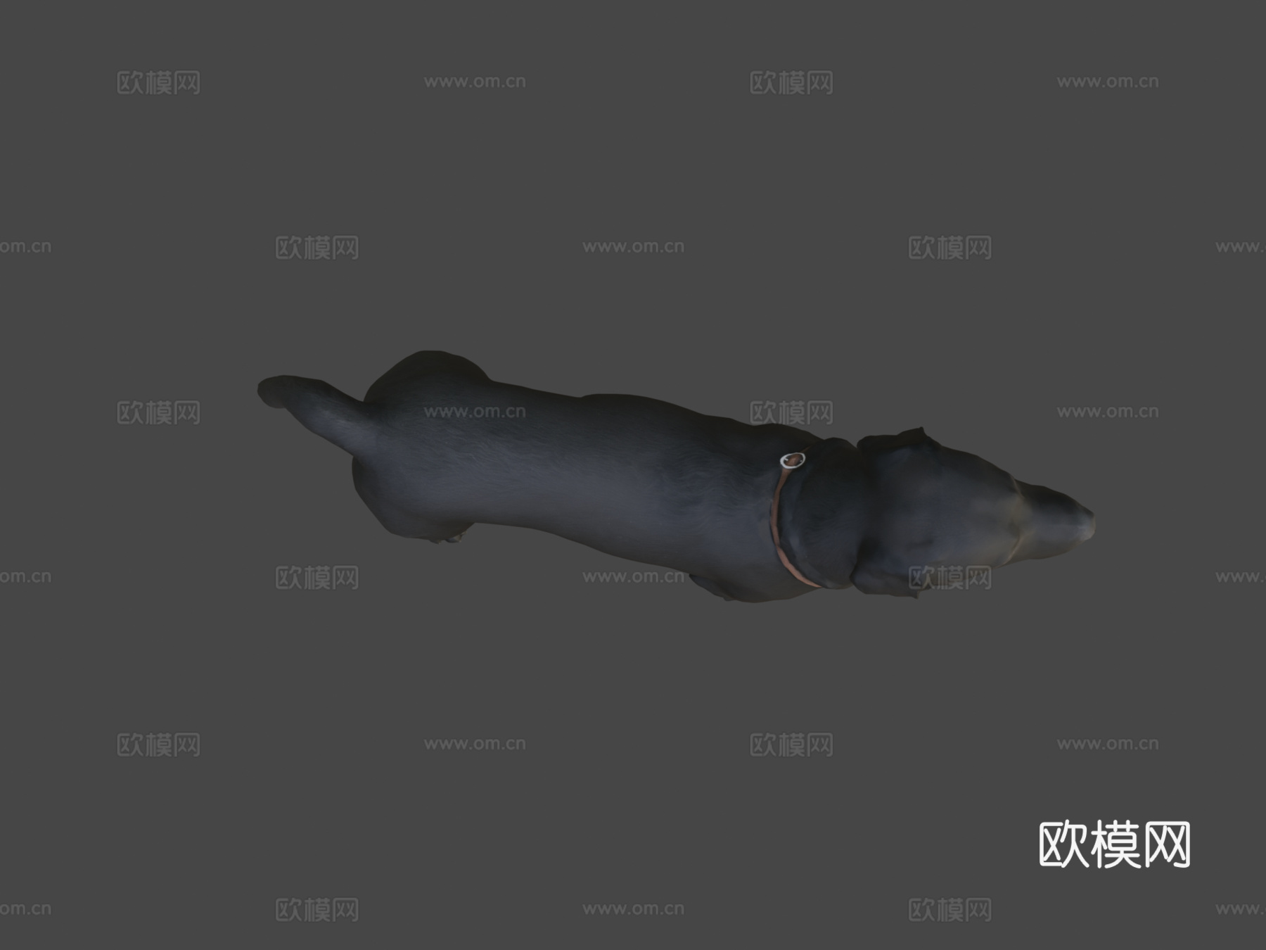 狗A-6之4-拉布拉多su模型