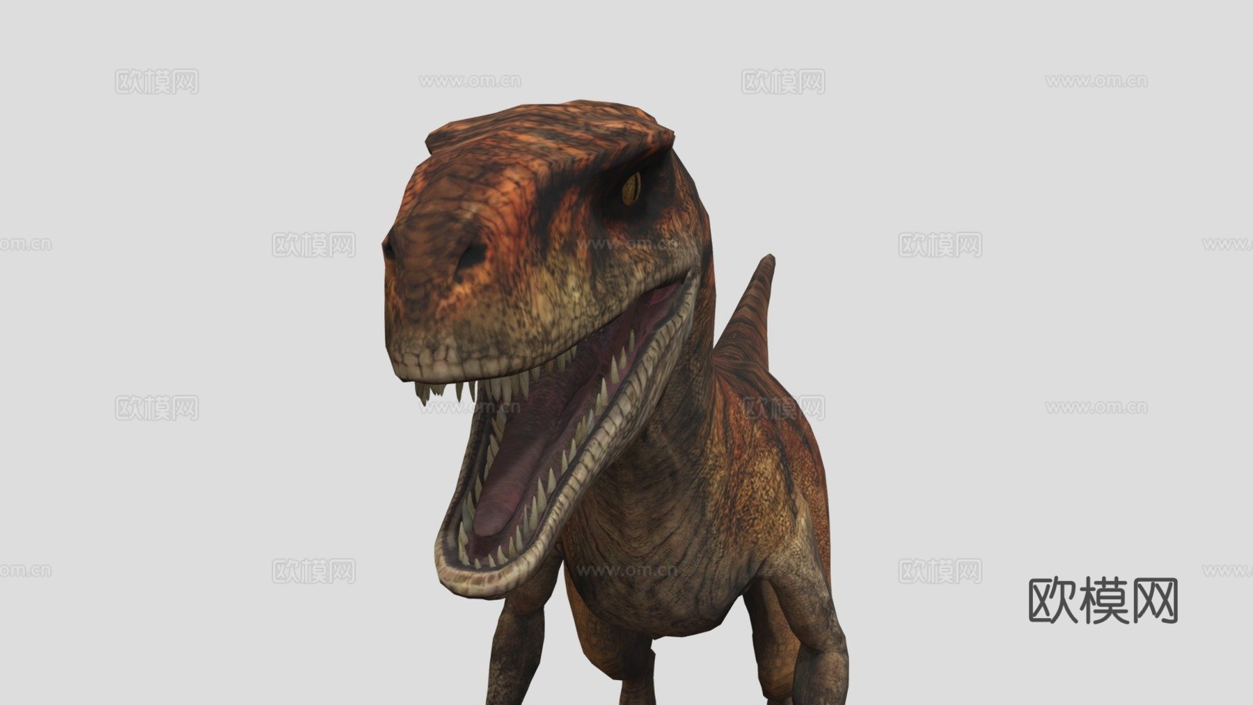 阿罗西盗龙虎su模型