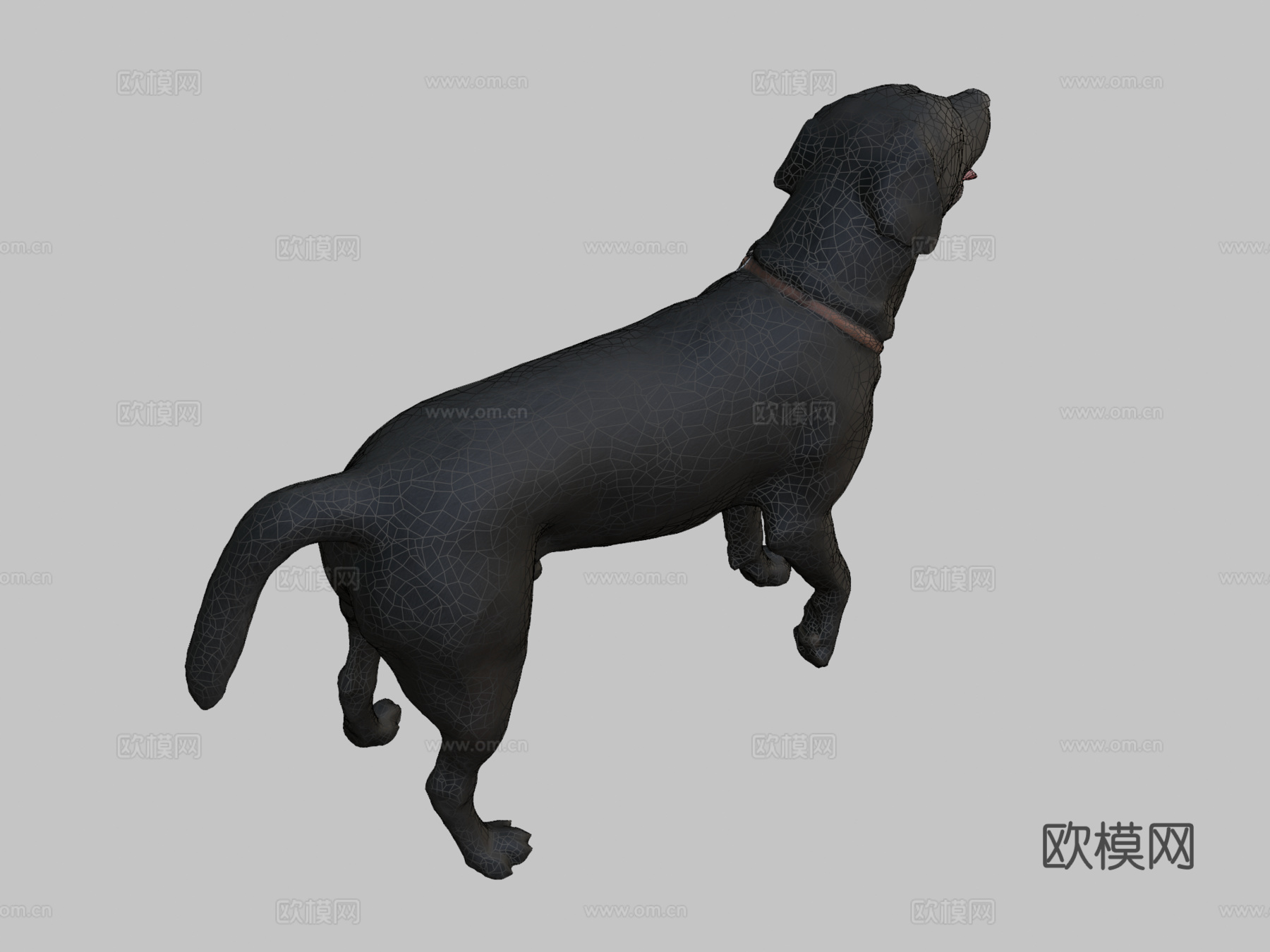 狗A-6之4-拉布拉多su模型