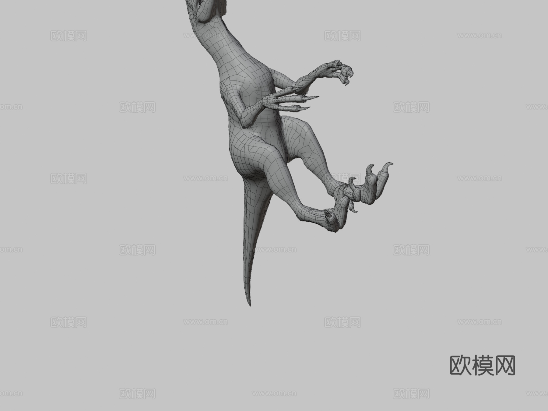 阿罗西盗龙虎su模型