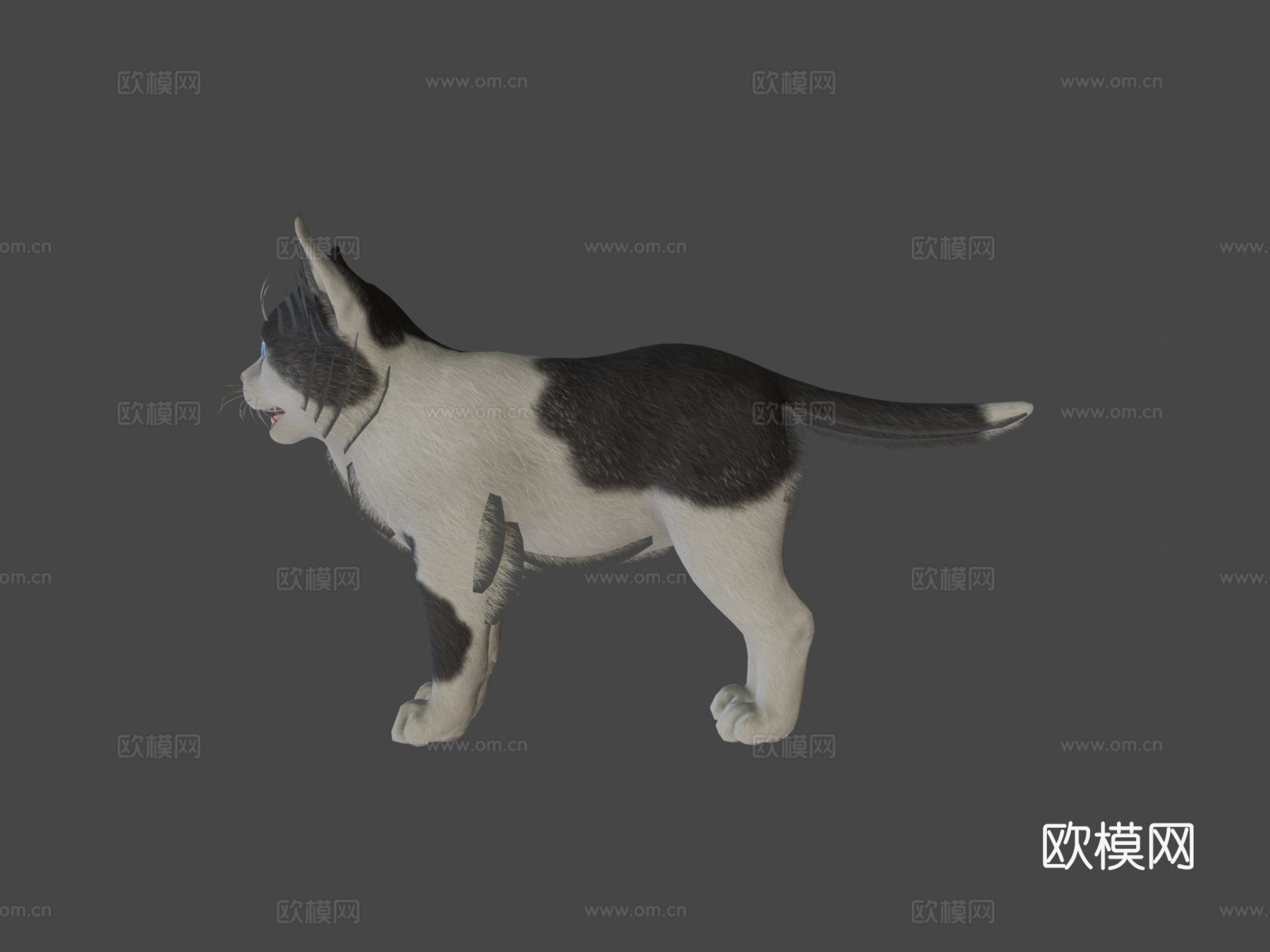 小猫-简单su模型