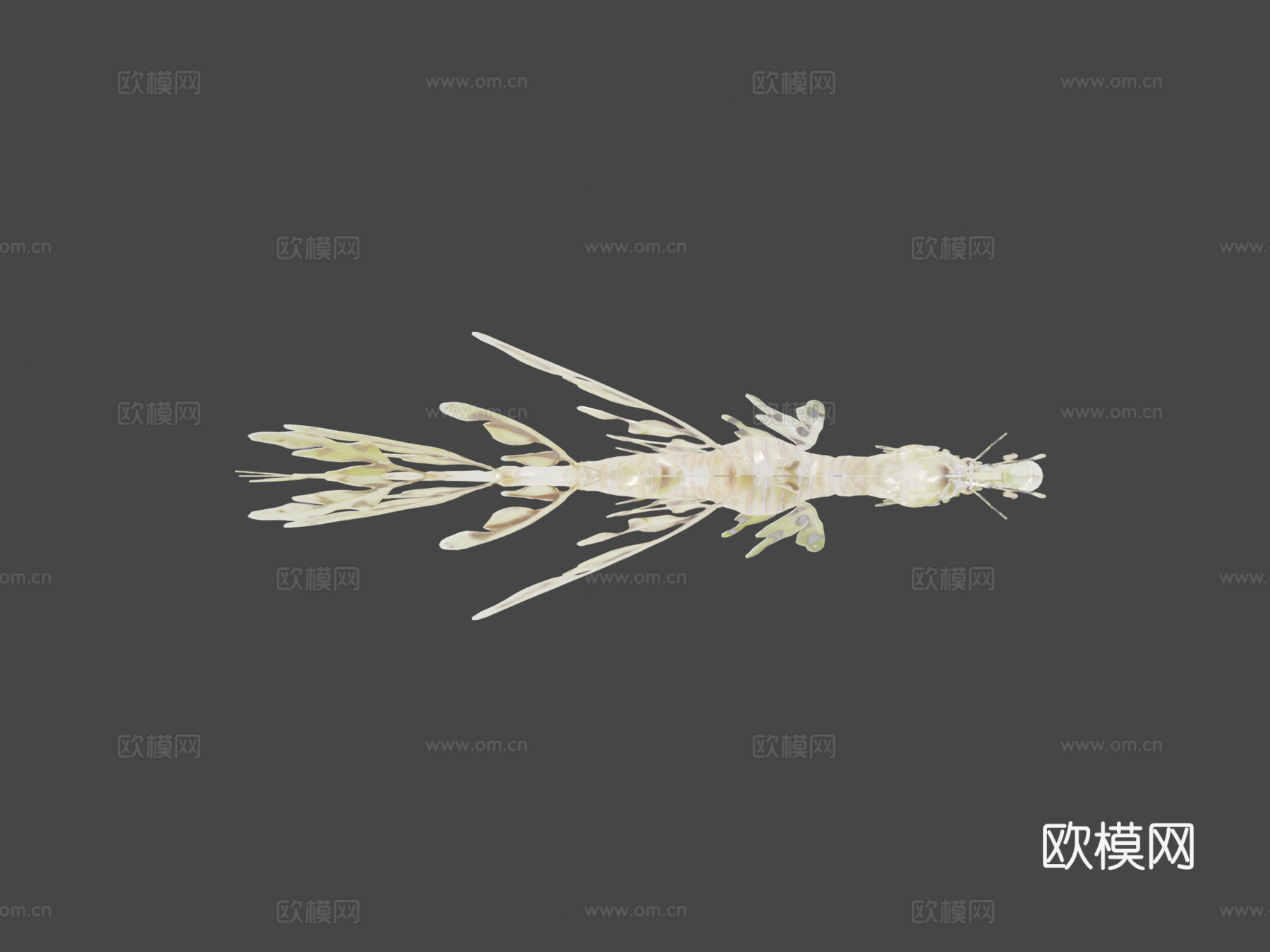 用Smoothie-3D制作的叶海龙su模型