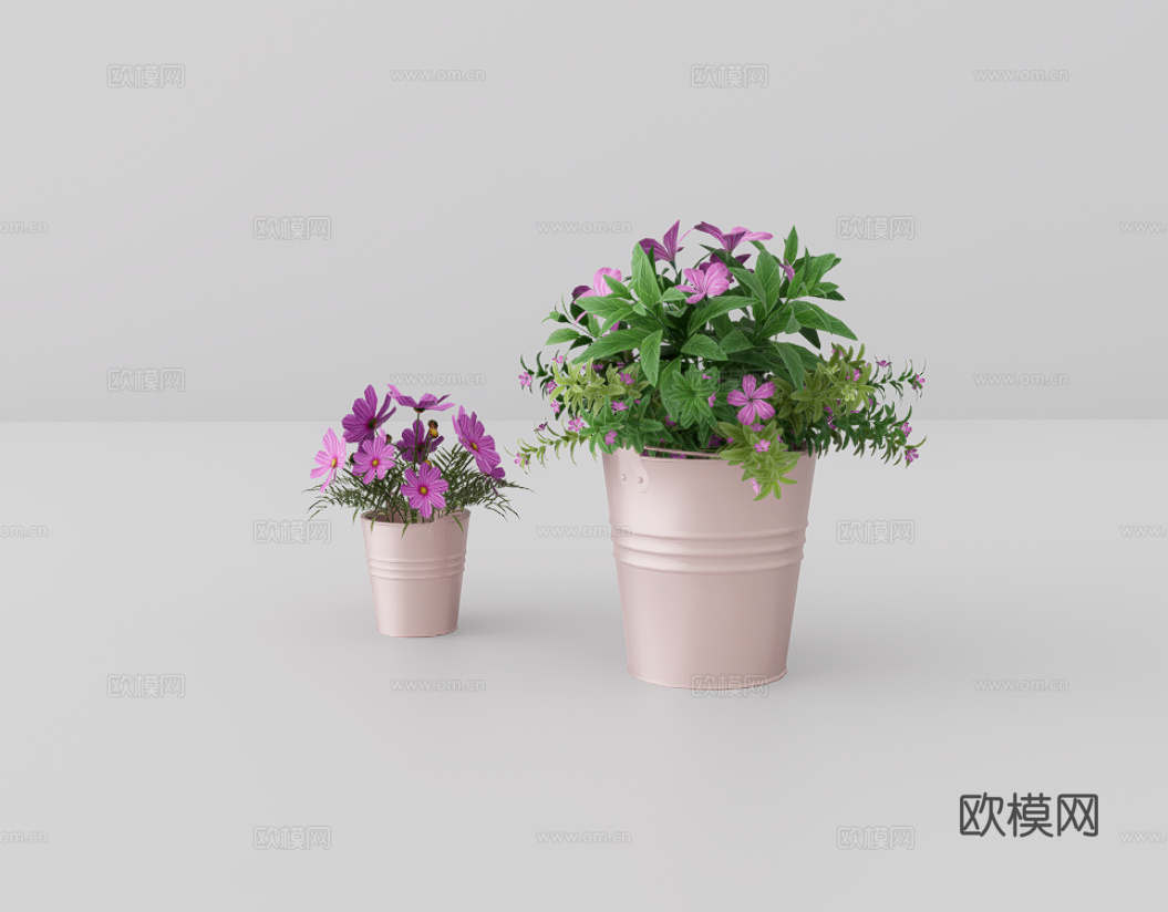 盆栽花卉su模型