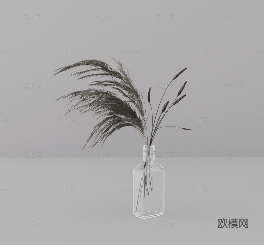 玻璃植物su模型