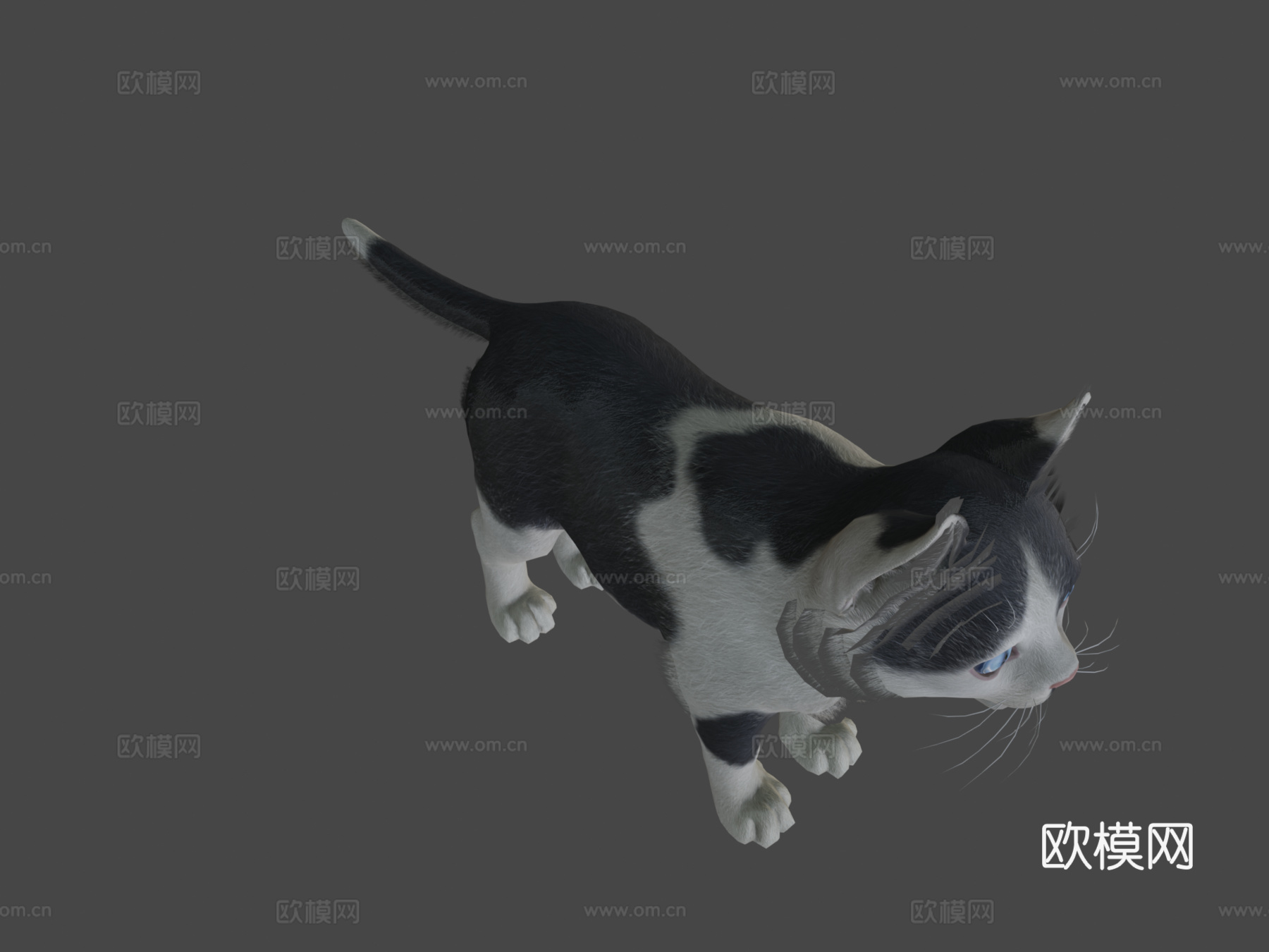 小猫-简单su模型