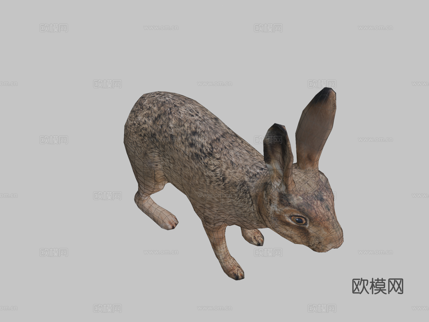 野兔su模型下载（渲染图2）